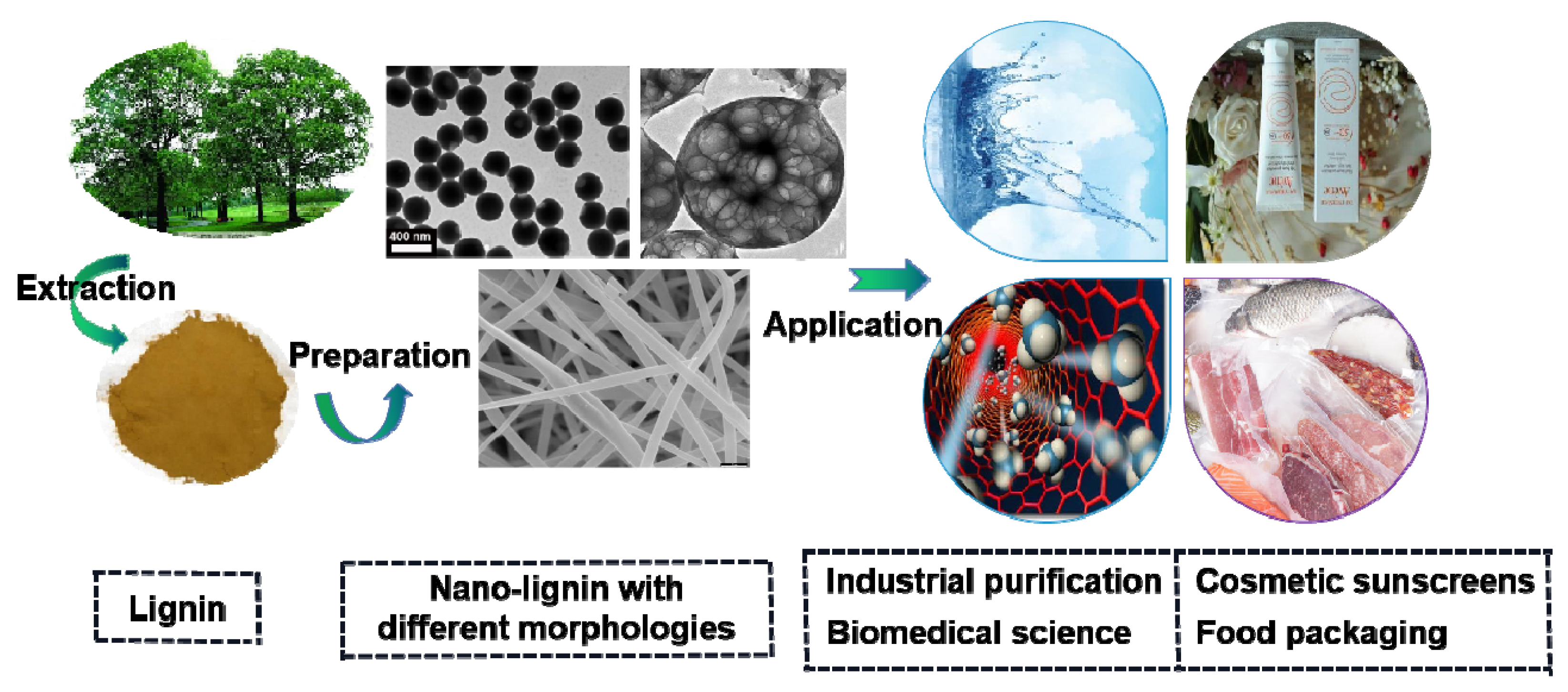 Nanomaterials 11 01336 g002 Nanomaterials 11 01336 g002
