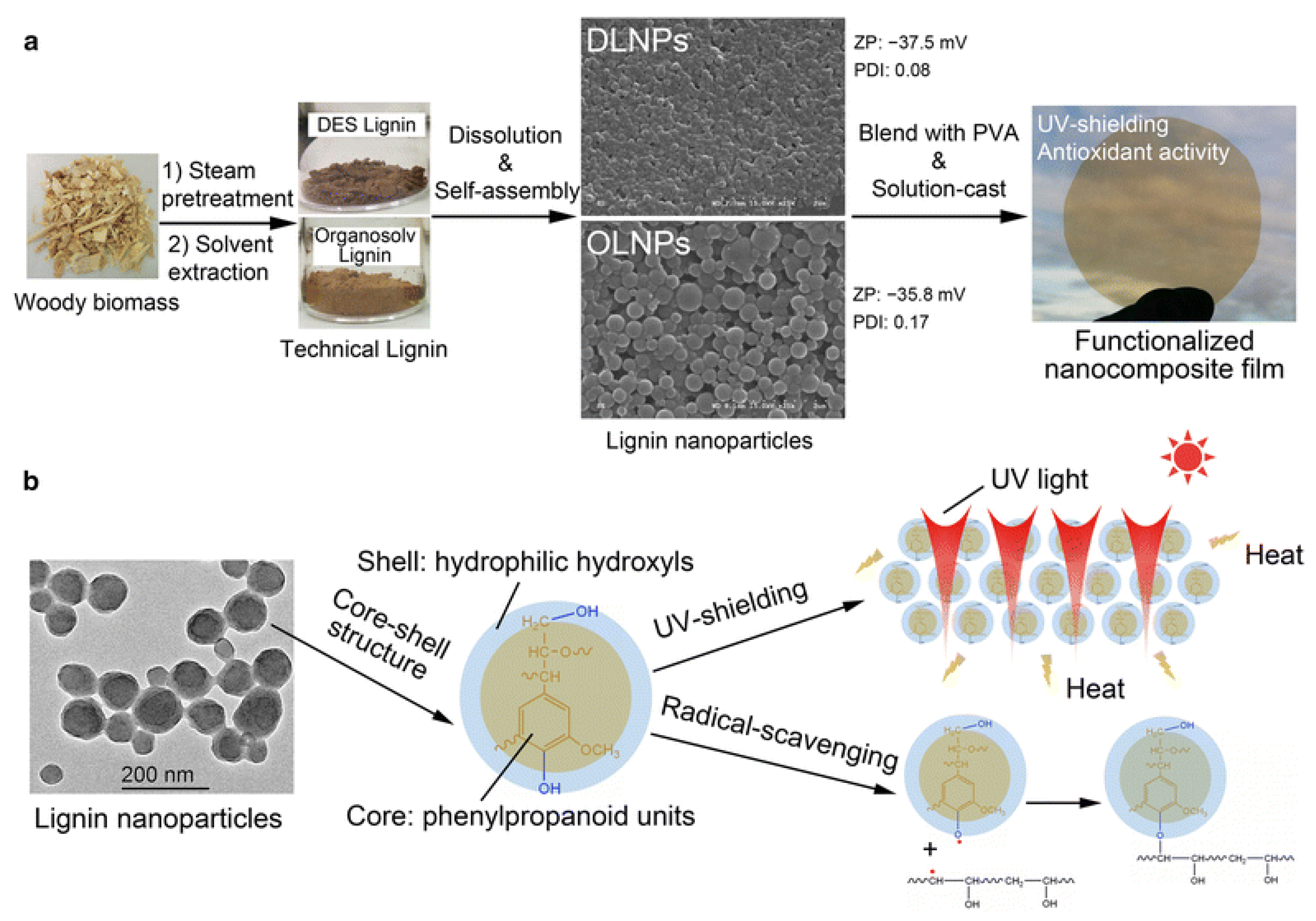 Nanomaterials 11 01336 g007 Nanomaterials 11 01336 g007