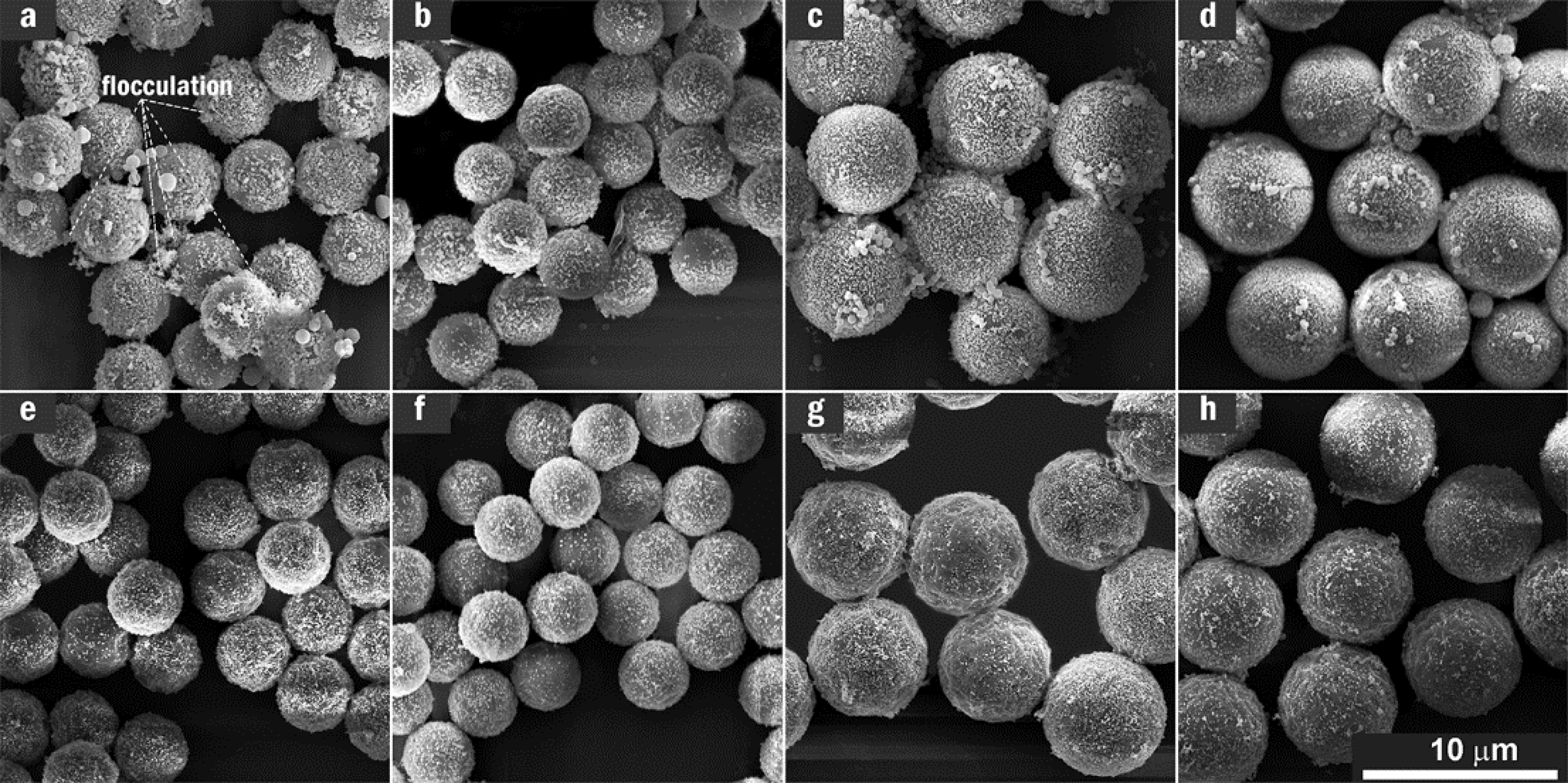 Nanomaterials 11 01337 g002 Nanomaterials 11 01337 g002