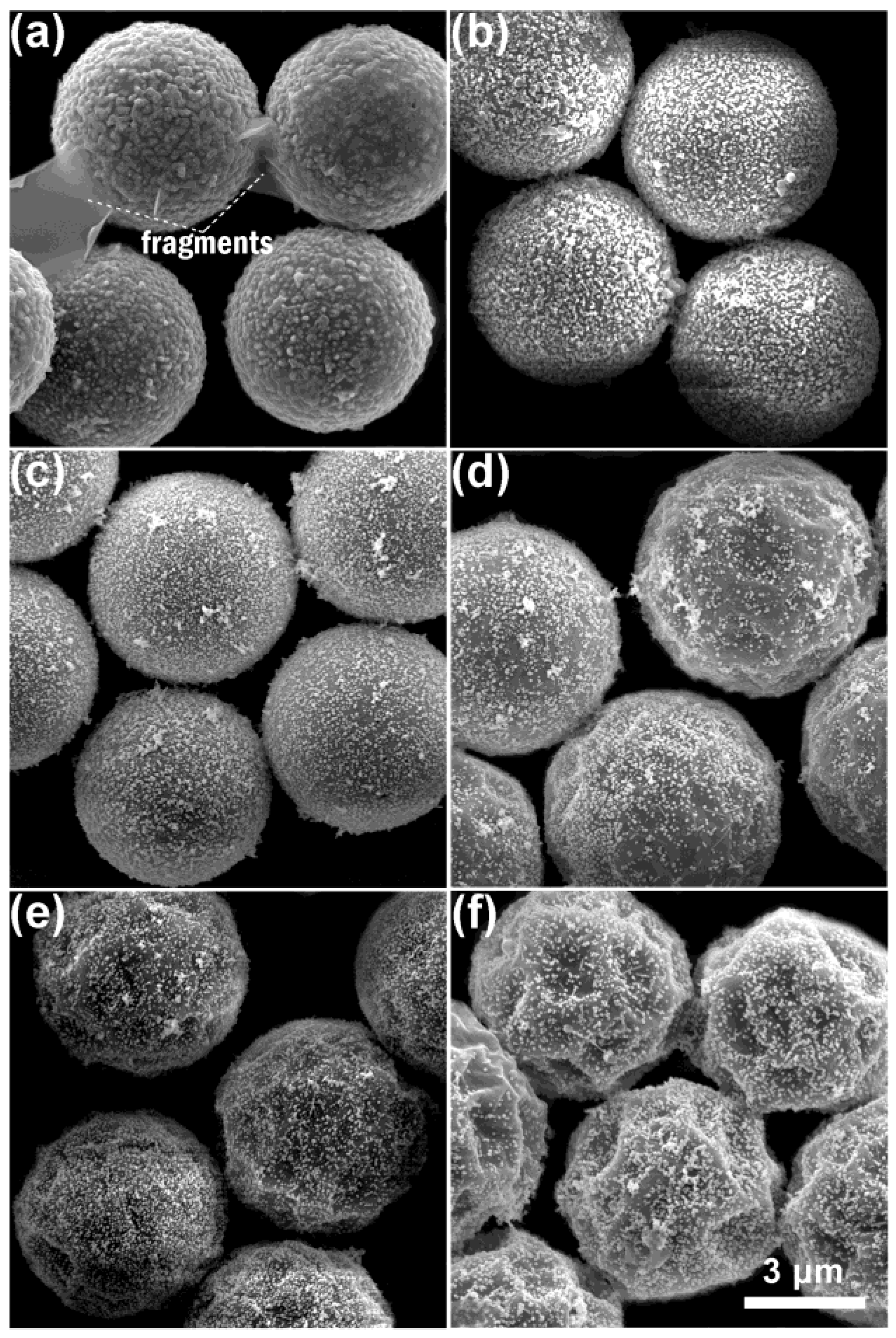 Nanomaterials 11 01337 g007 Nanomaterials 11 01337 g007