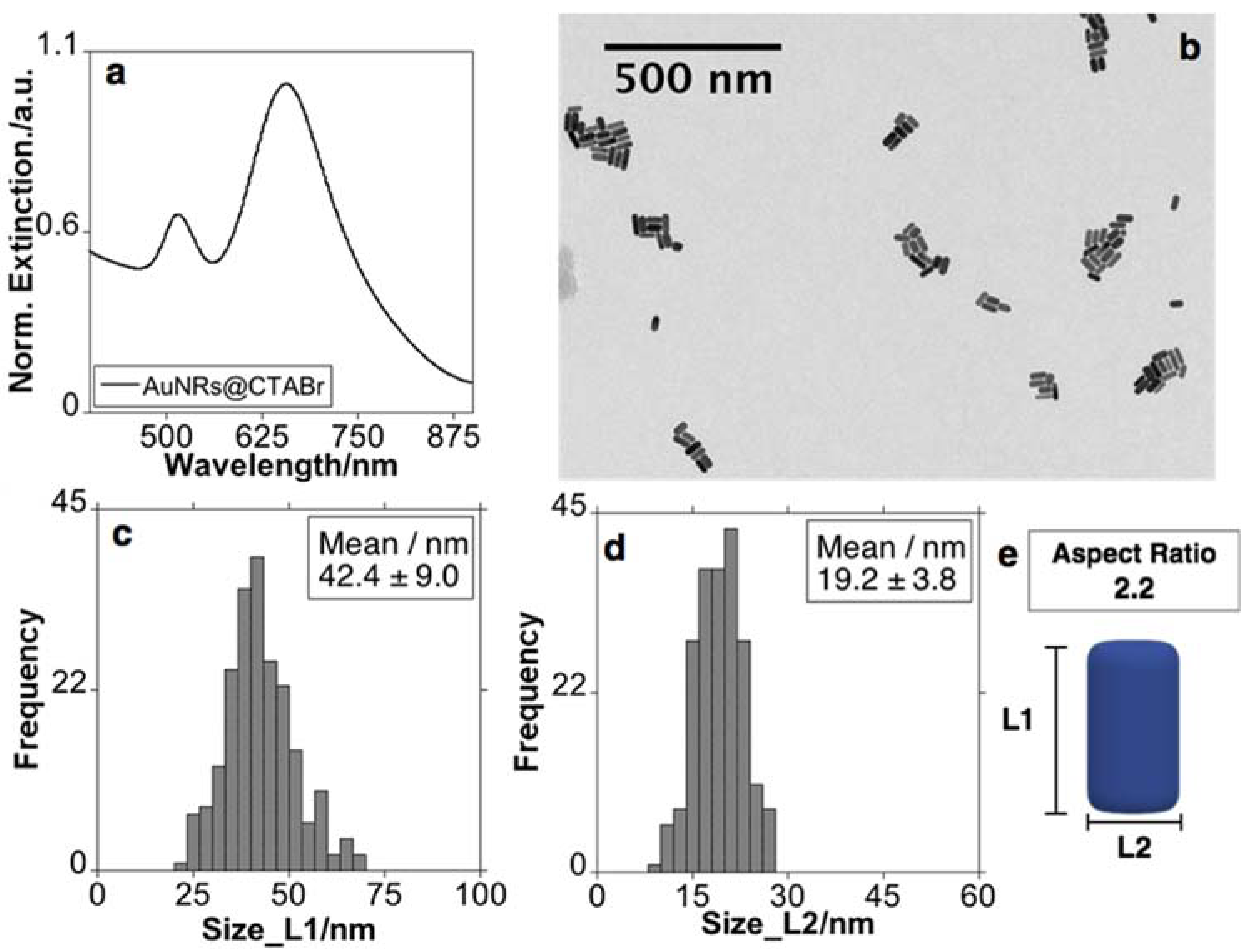 Nanomaterials 11 01338 g001 Nanomaterials 11 01338 g001