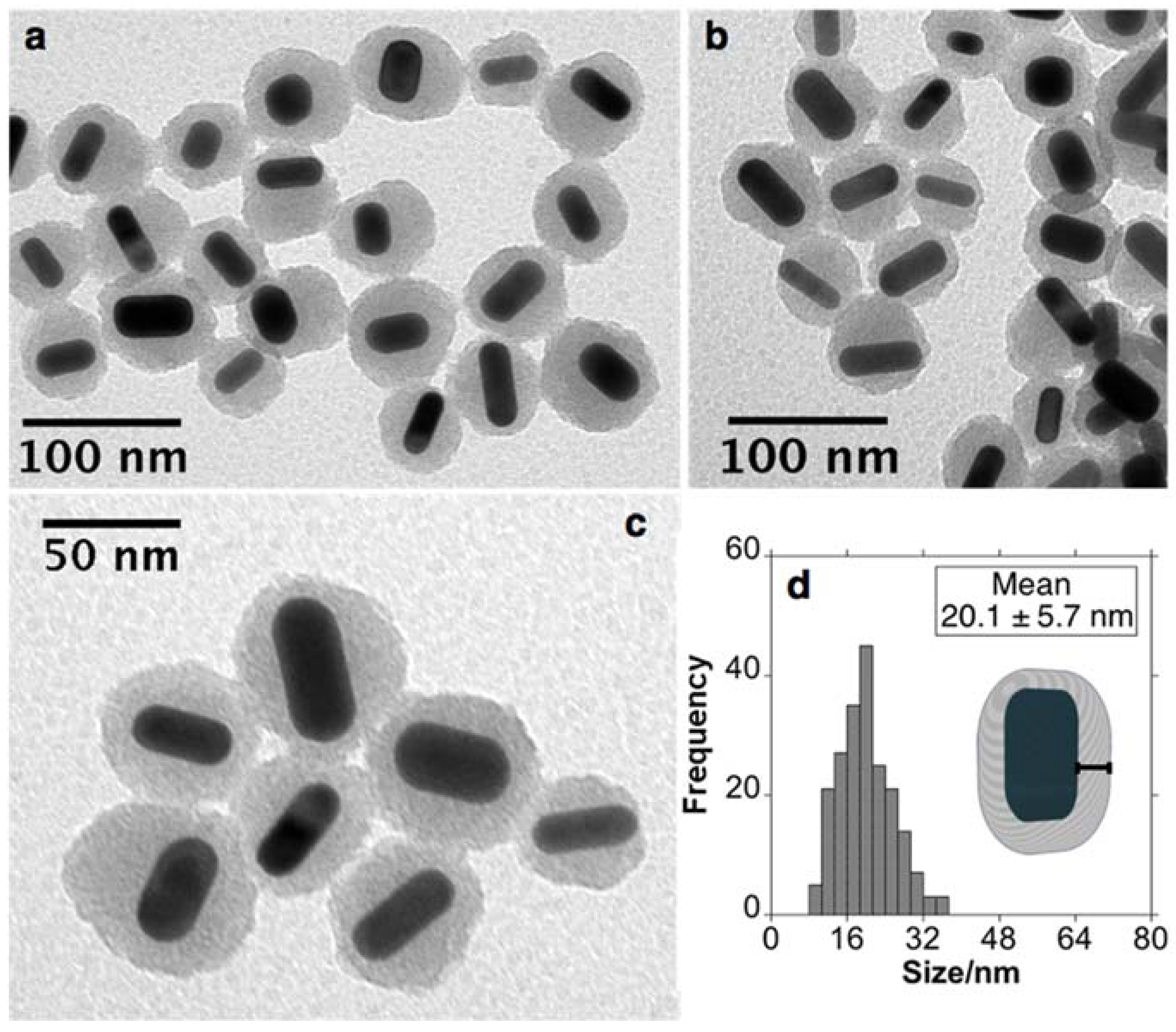 Nanomaterials 11 01338 g002 Nanomaterials 11 01338 g002