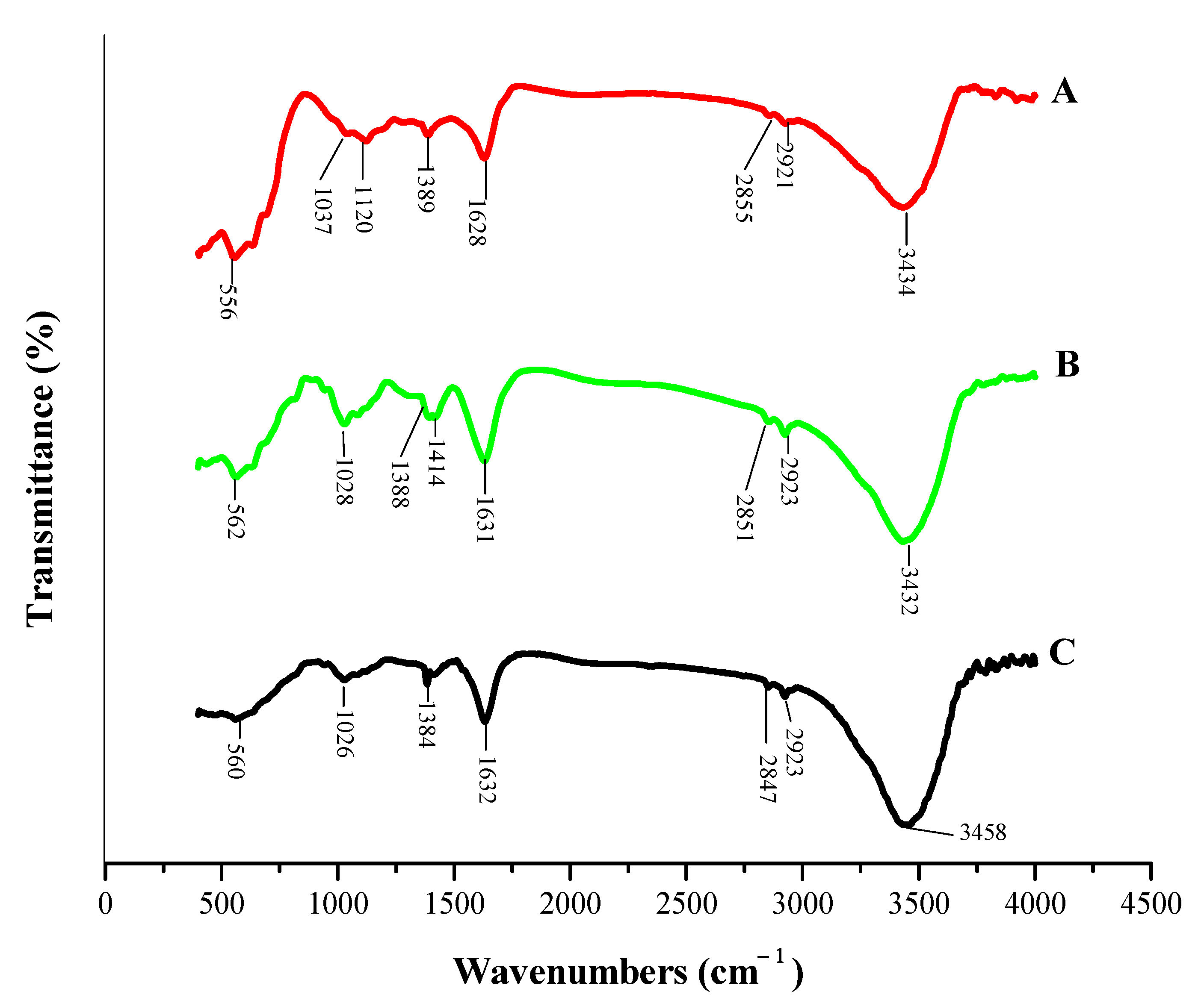 Nanomaterials 11 01345 g004