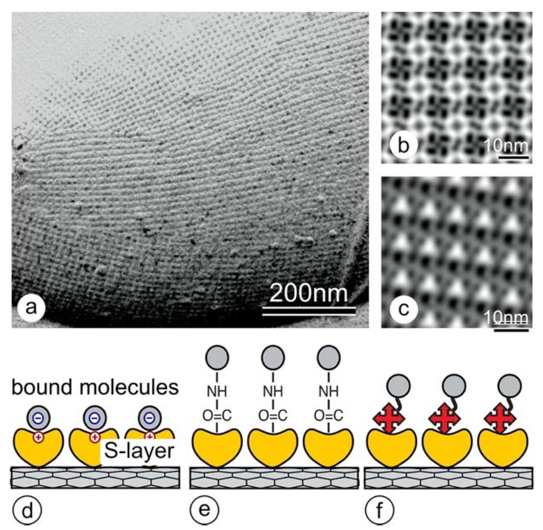 Nanomaterials 11 01346 g001 Nanomaterials 11 01346 g001