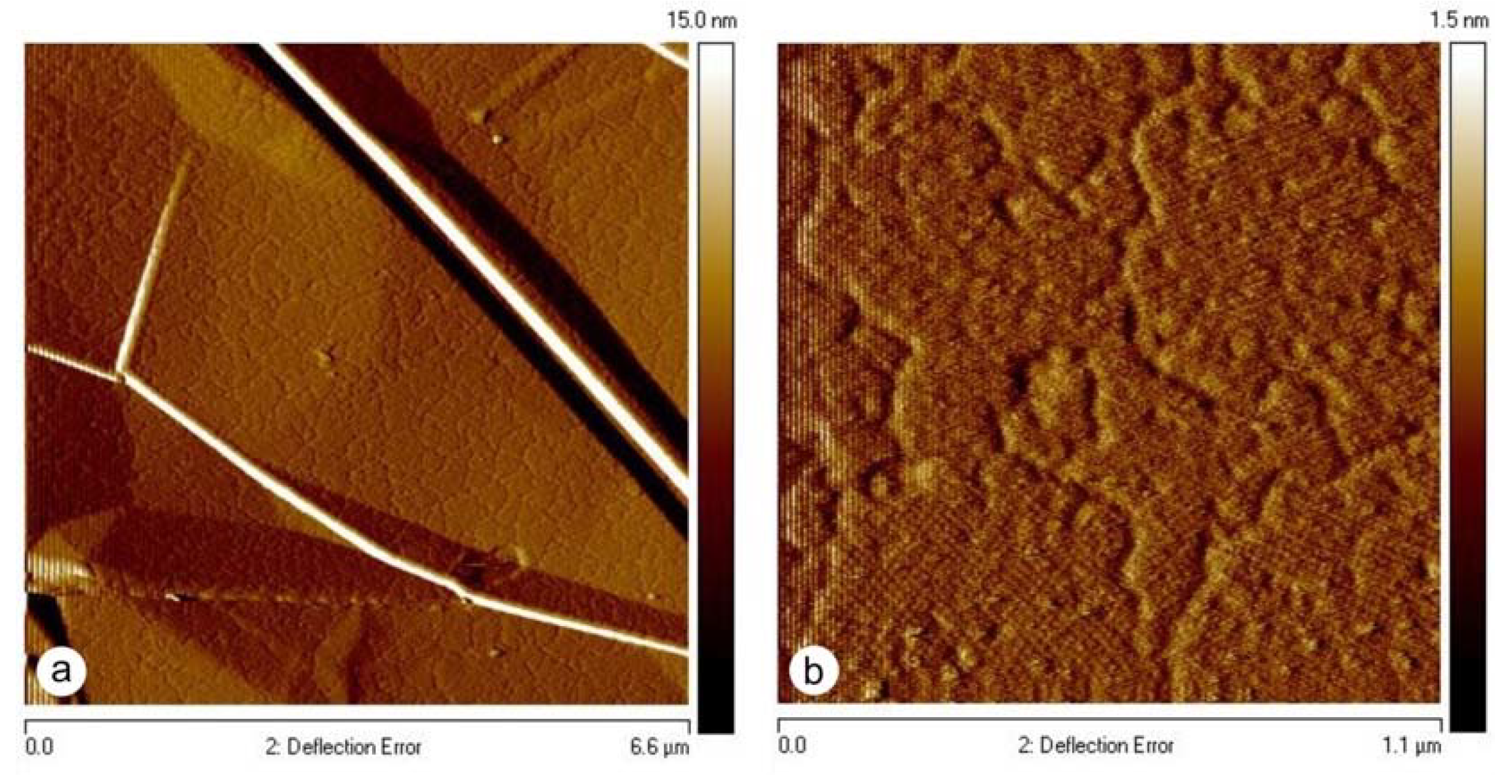 Nanomaterials 11 01346 g004 Nanomaterials 11 01346 g004