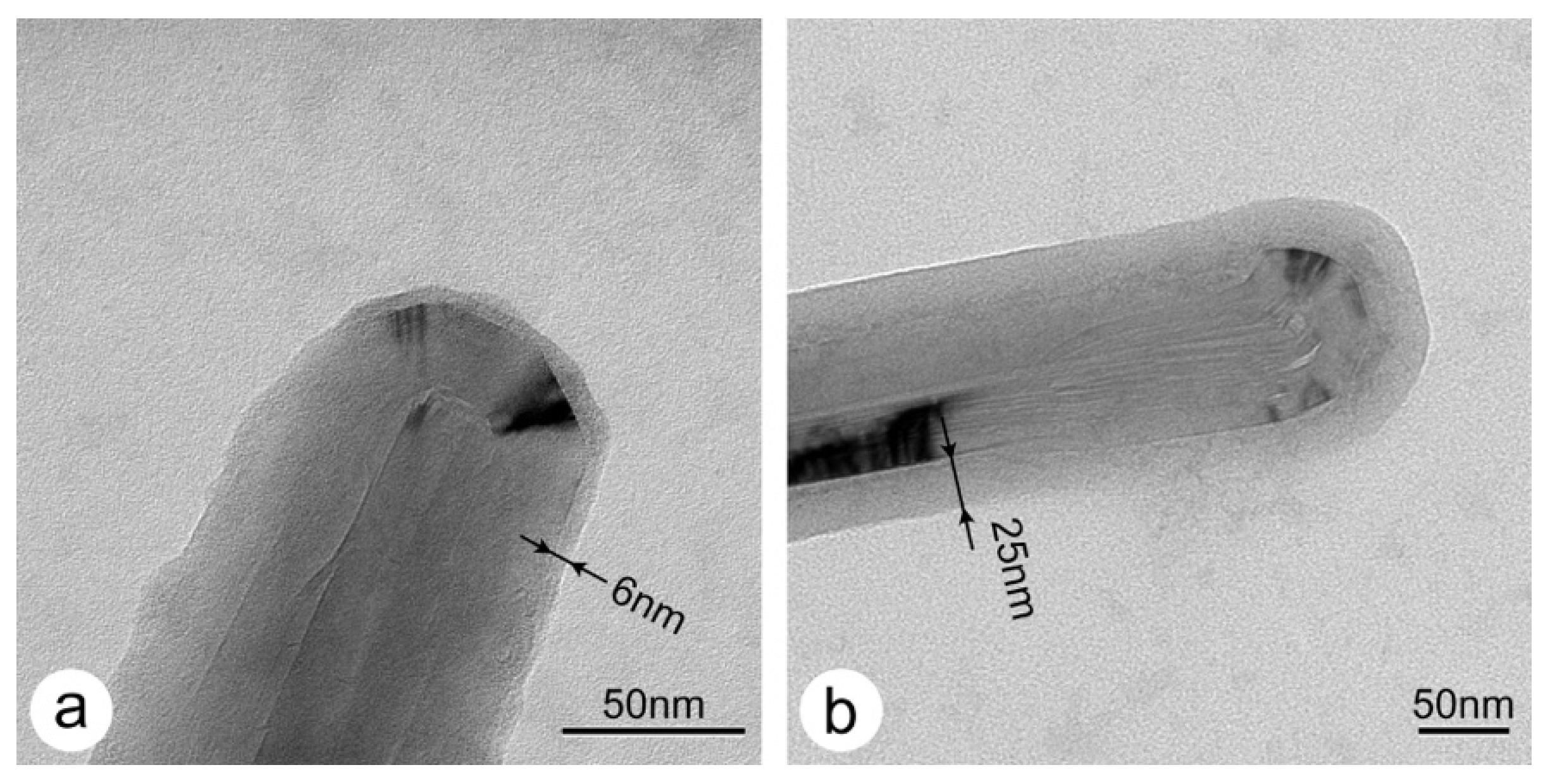 Nanomaterials 11 01346 g005 Nanomaterials 11 01346 g005