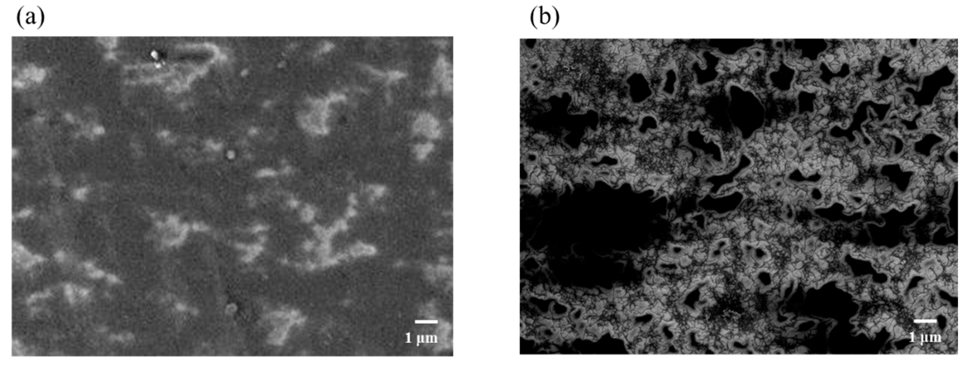 Nanomaterials 11 01348 g003 Nanomaterials 11 01348 g003