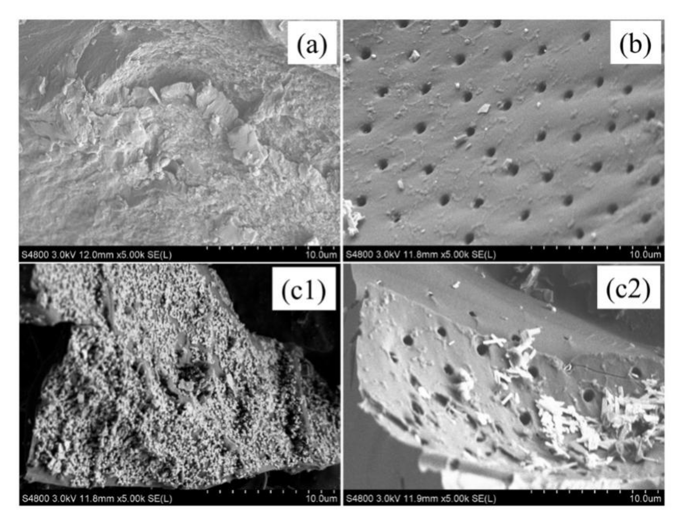 Nanomaterials 11 01349 g007 Nanomaterials 11 01349 g007