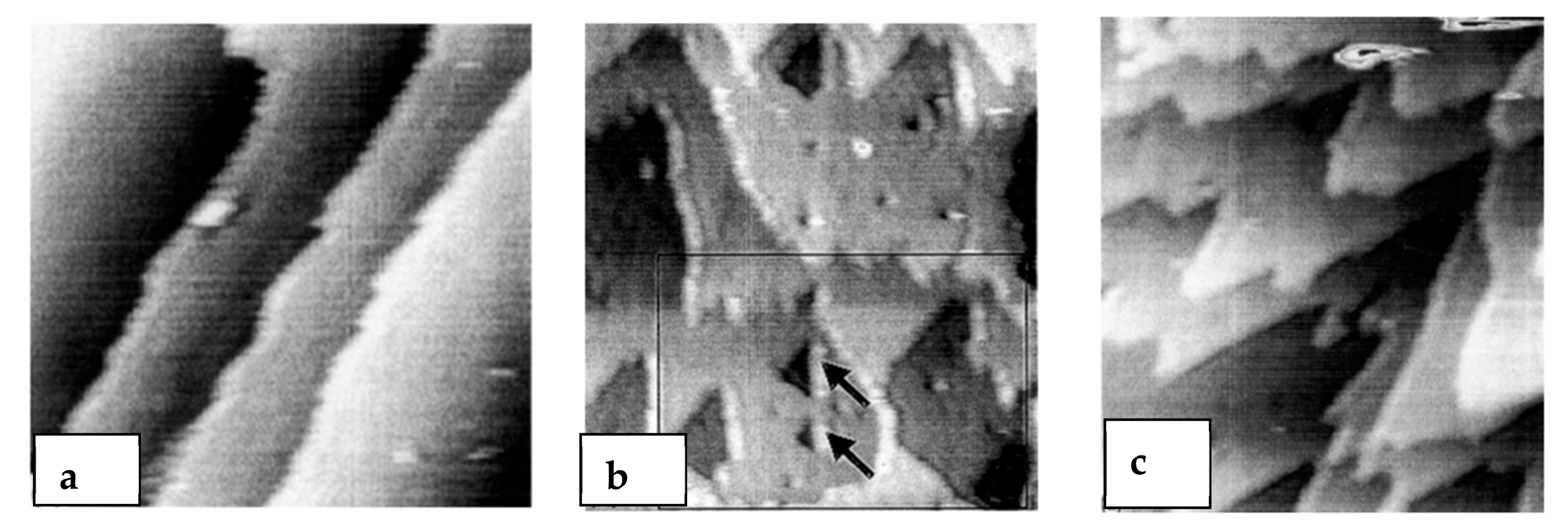 Nanomaterials 11 01351 g030 Nanomaterials 11 01351 g030