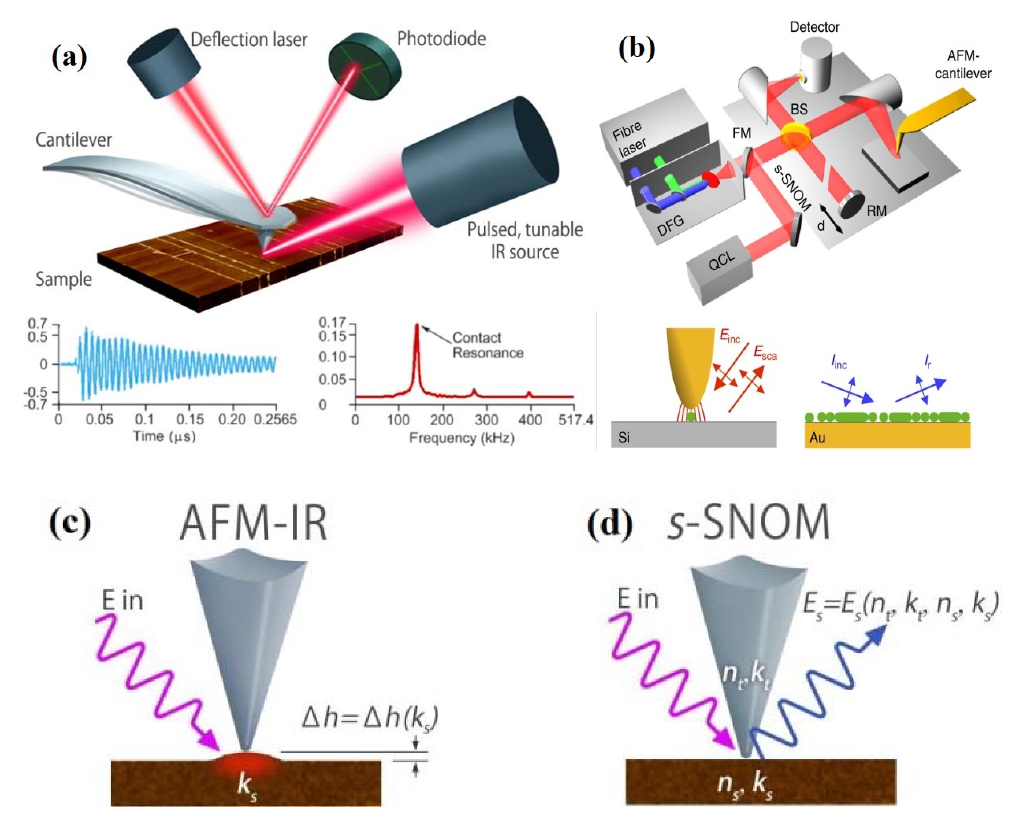Nanomaterials 11 01353 g001