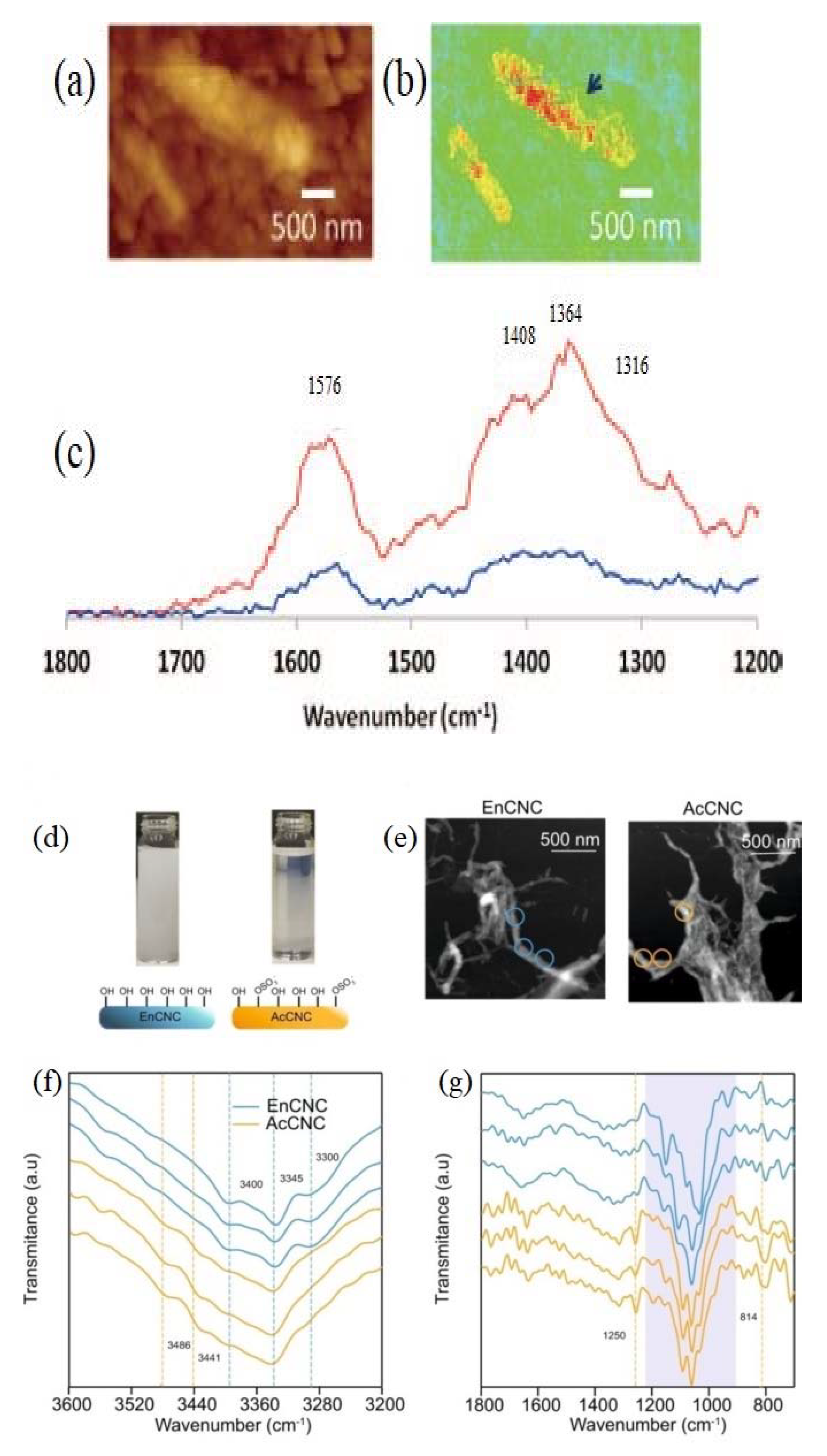 Nanomaterials 11 01353 g002