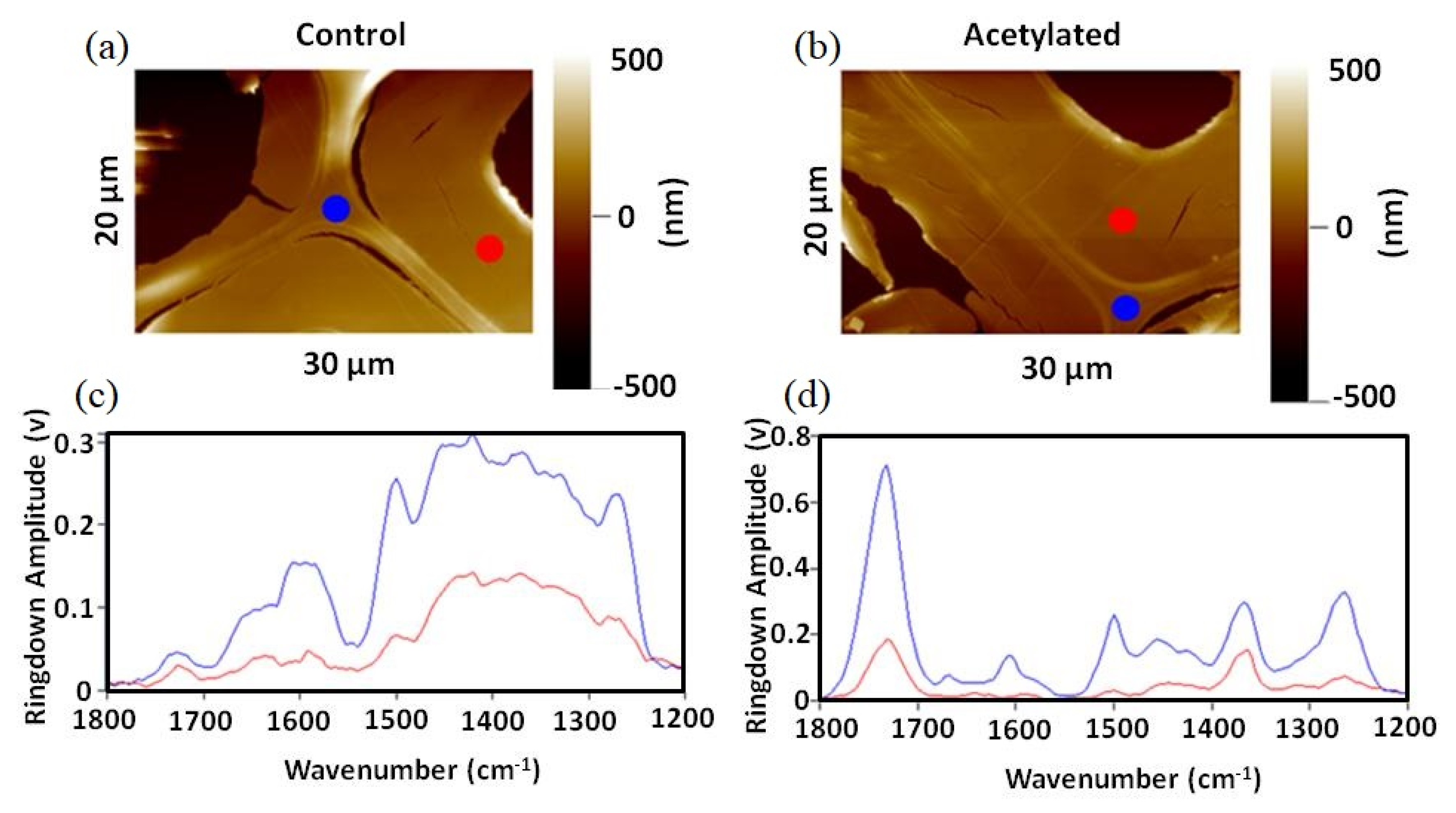Nanomaterials 11 01353 g005