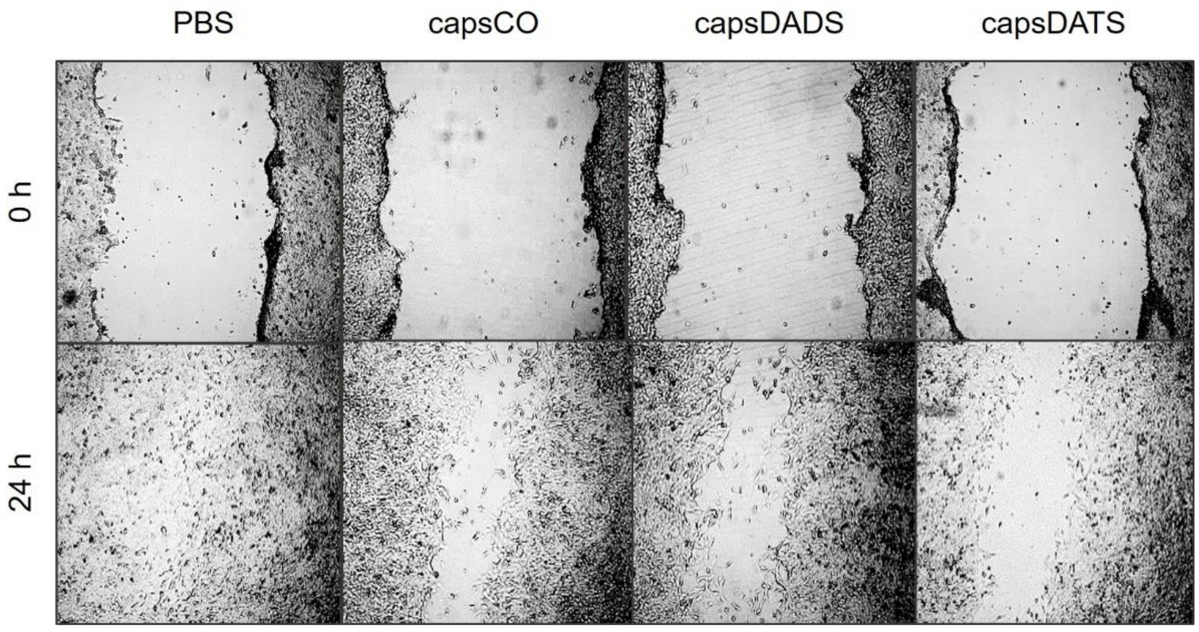 Nanomaterials 11 01354 g008