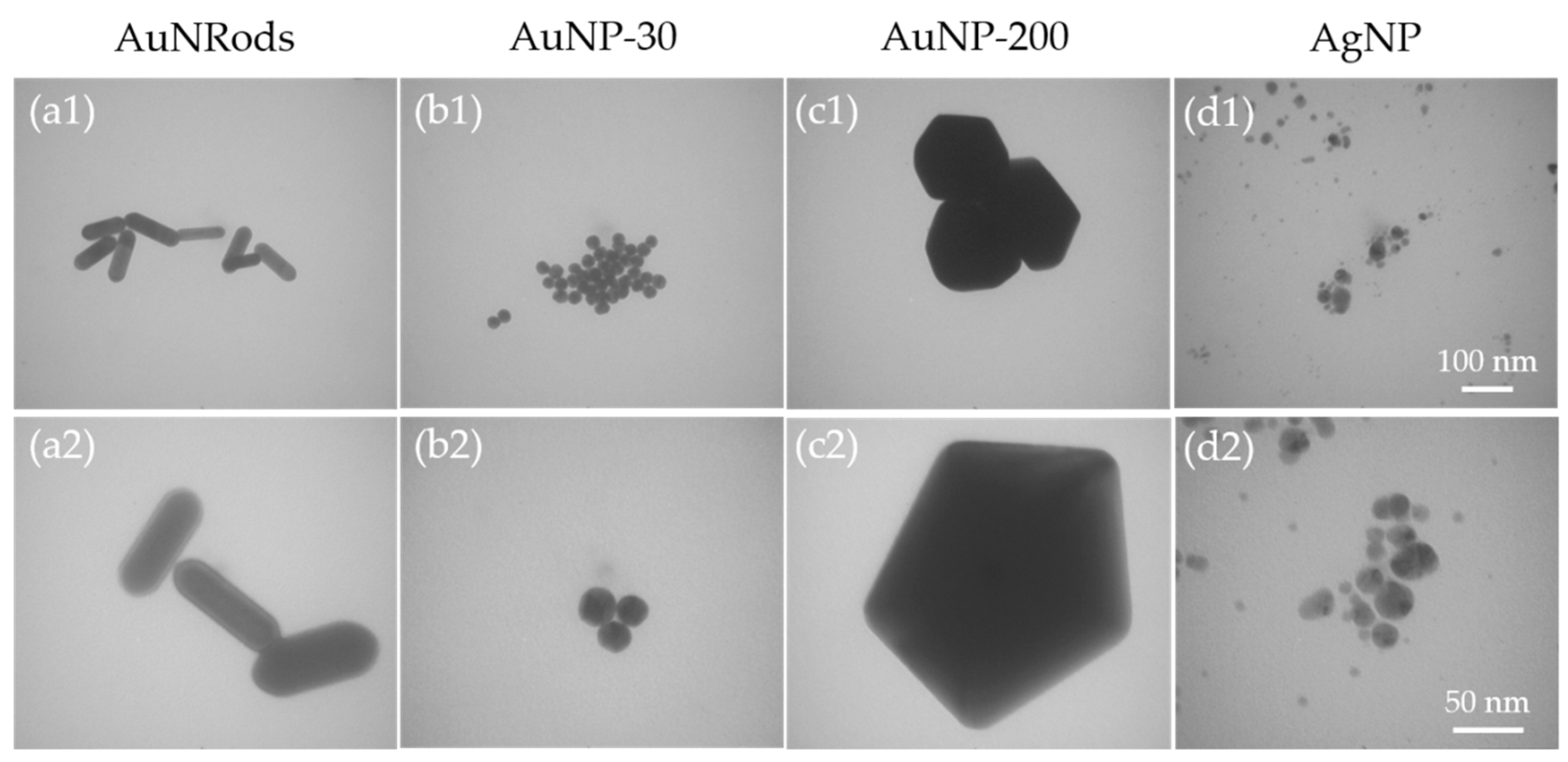 Nanomaterials 11 01358 g001