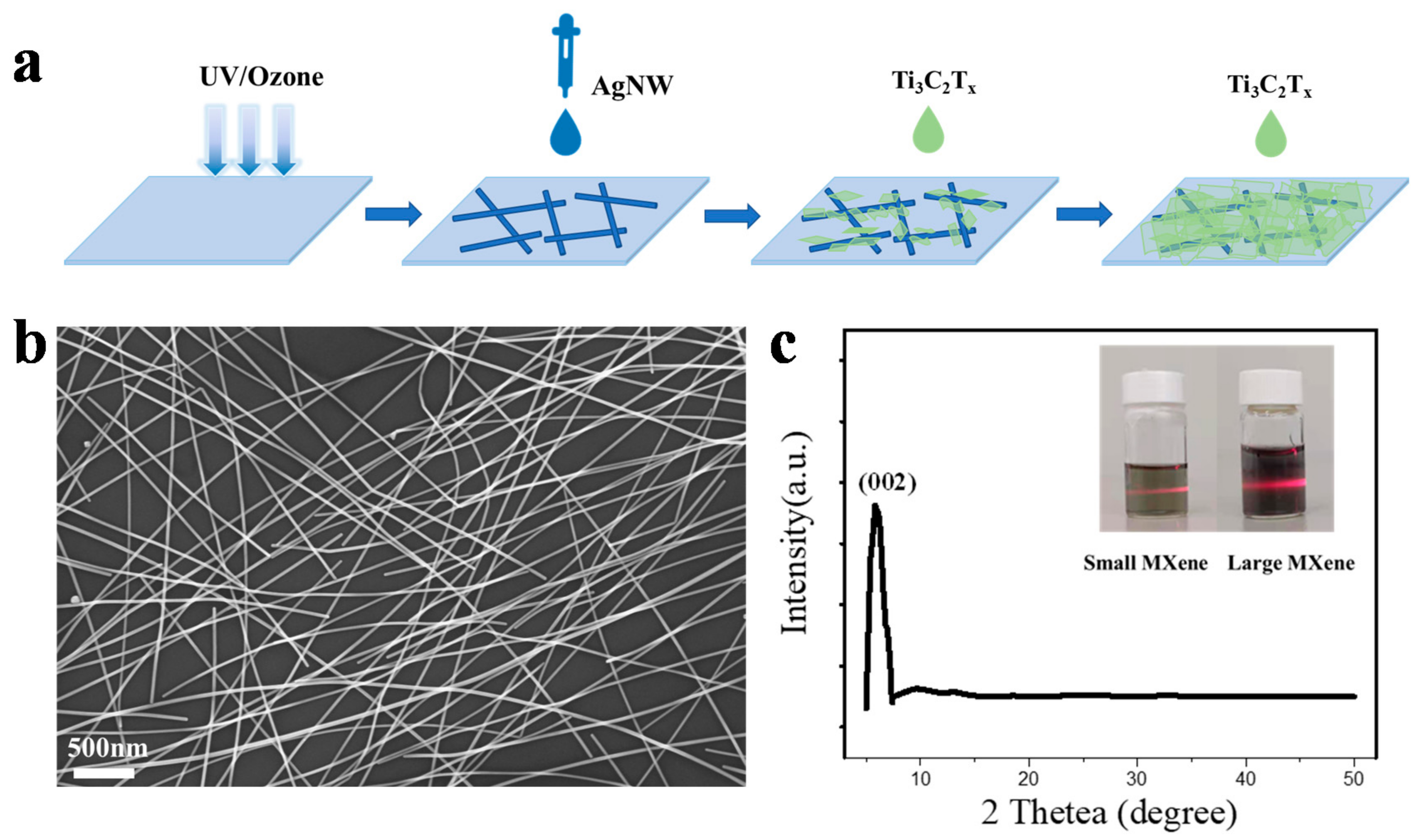 Nanomaterials 11 01360 g001