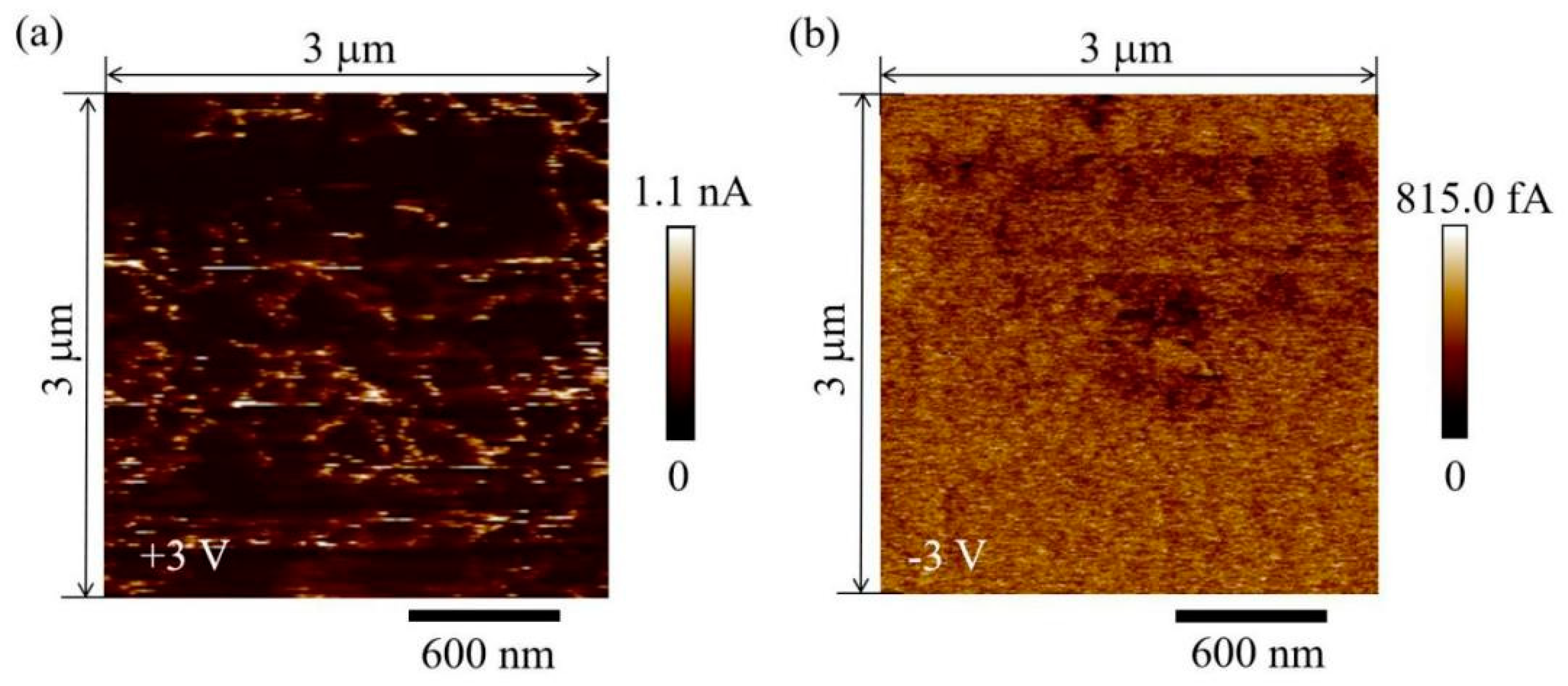 Nanomaterials 11 01361 g007 Nanomaterials 11 01361 g007