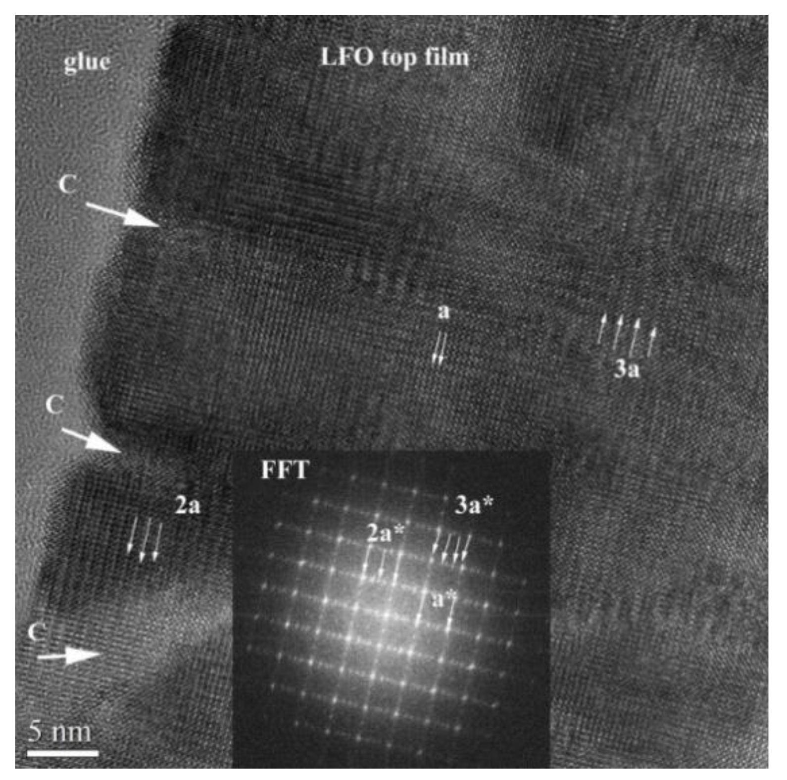 Nanomaterials 11 01371 g010