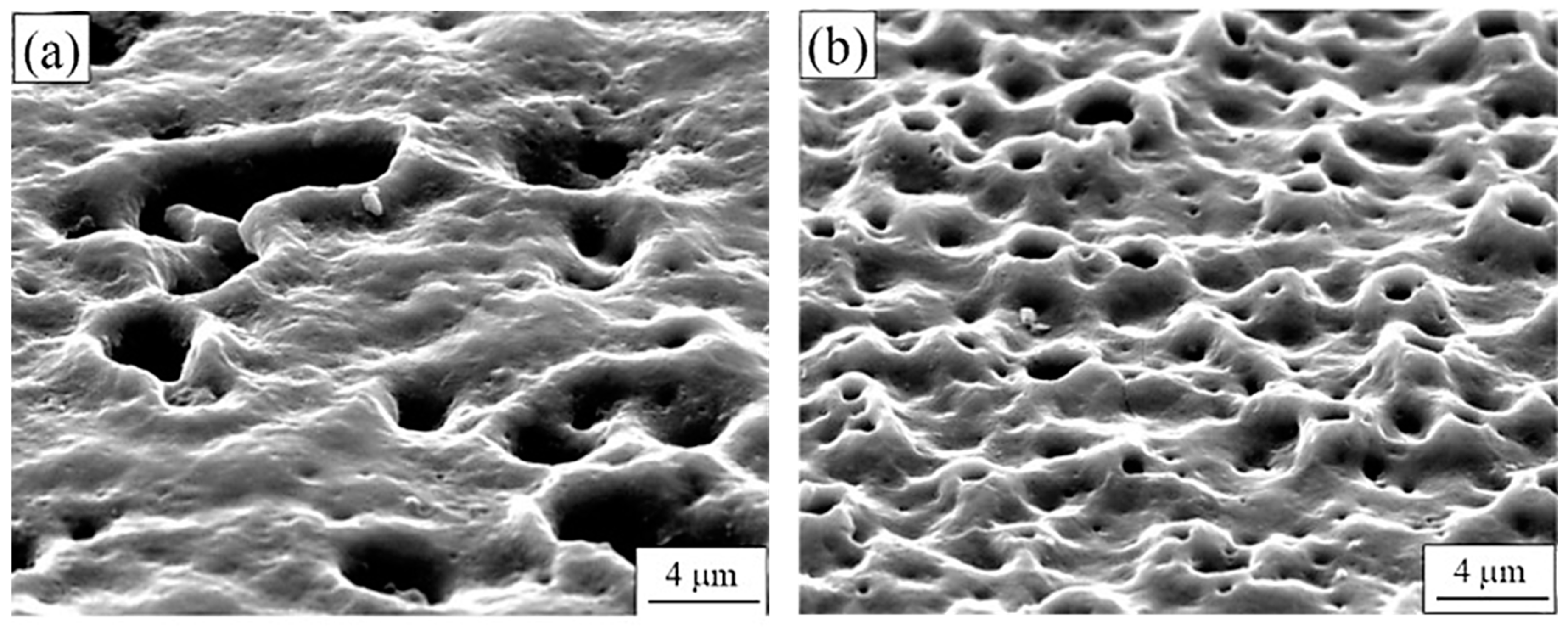 Nanomaterials 11 01375 g011 Nanomaterials 11 01375 g011