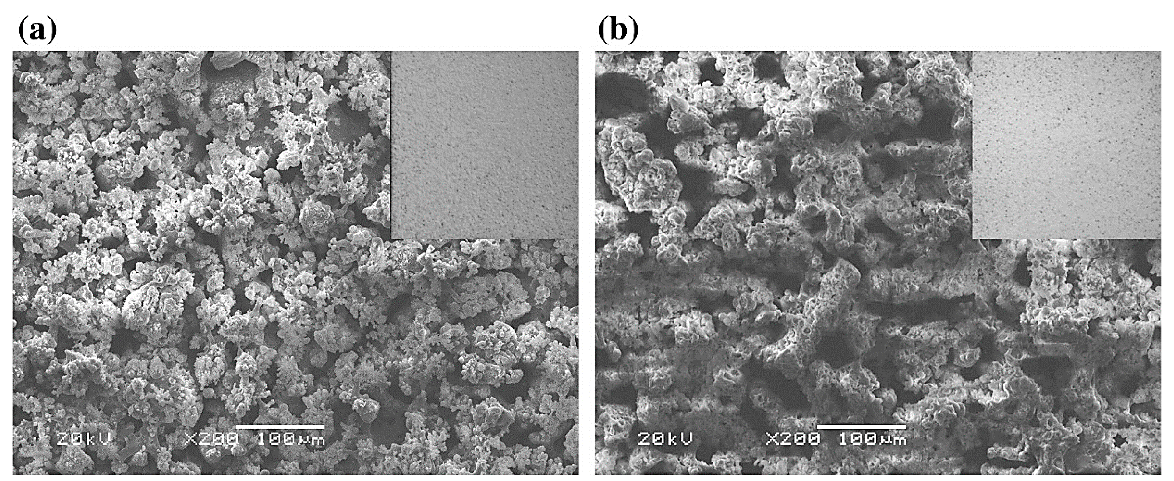 Nanomaterials 11 01375 g025 Nanomaterials 11 01375 g025