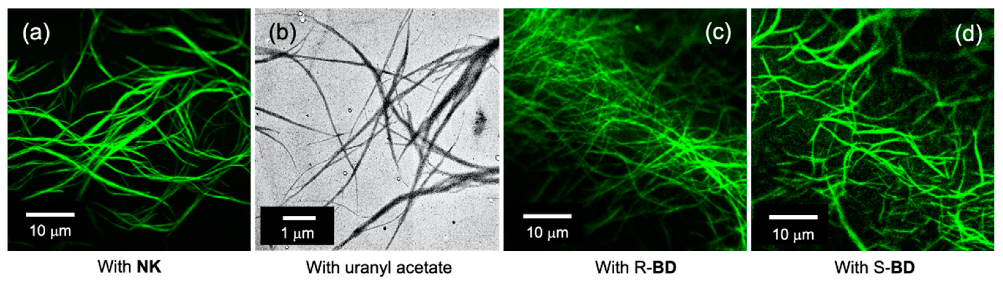 Nanomaterials 11 01376 g002