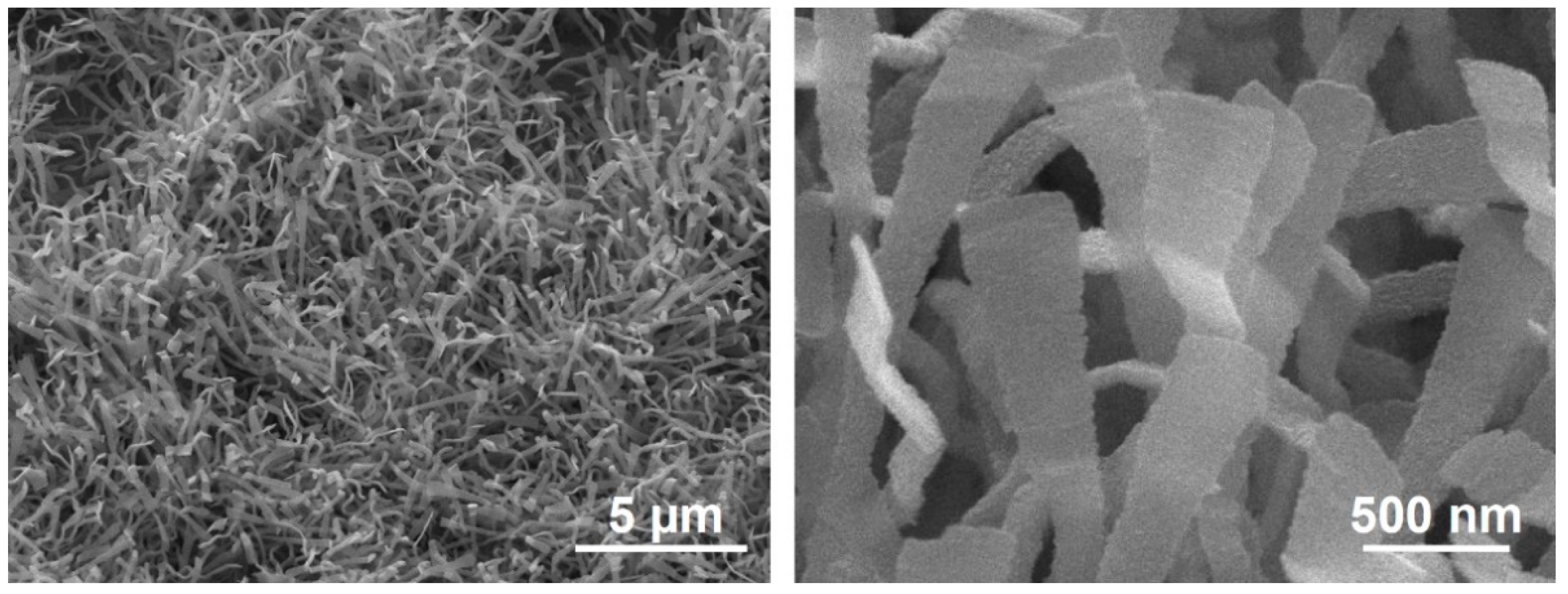 Nanomaterials 11 01377 g001 Nanomaterials 11 01377 g001