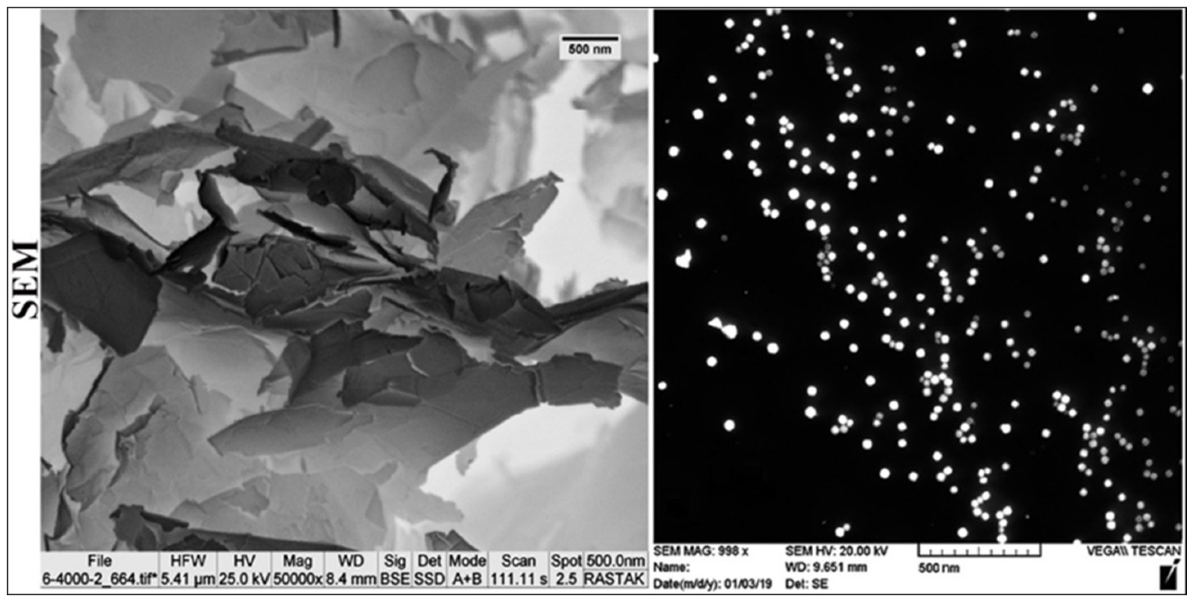 Nanomaterials 11 01382 g002