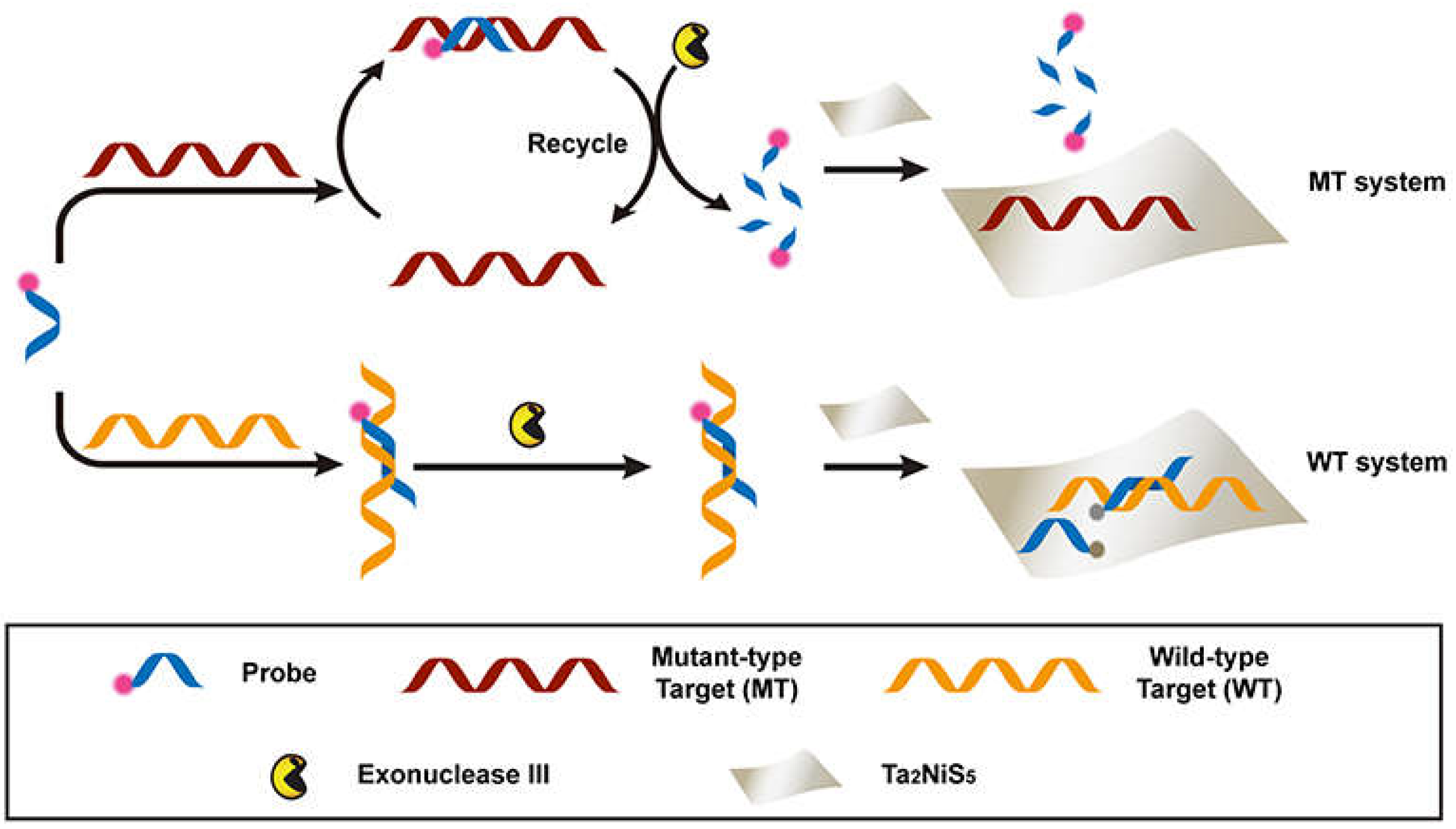 Nanomaterials 11 01384 g003 Nanomaterials 11 01384 g003