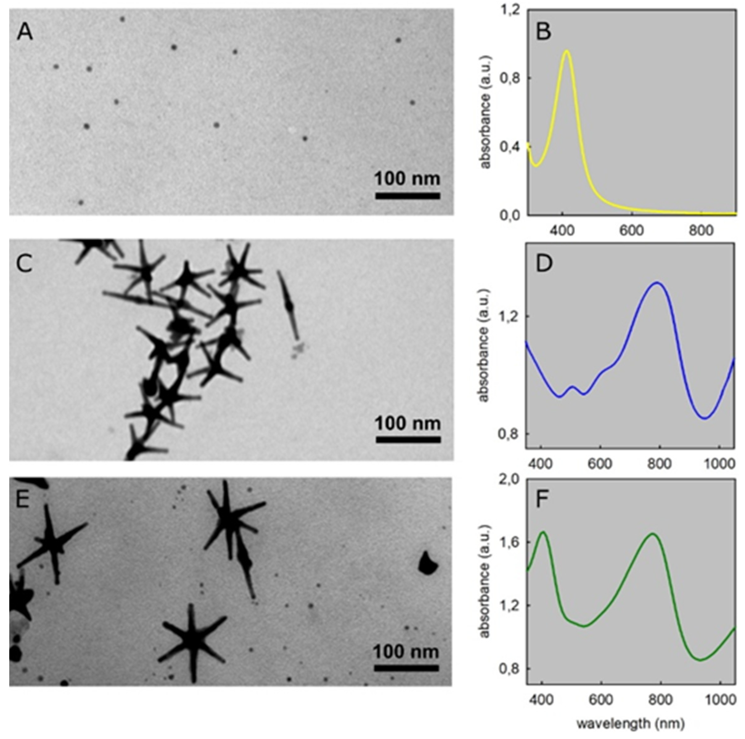Nanomaterials 11 01387 g001 Nanomaterials 11 01387 g001