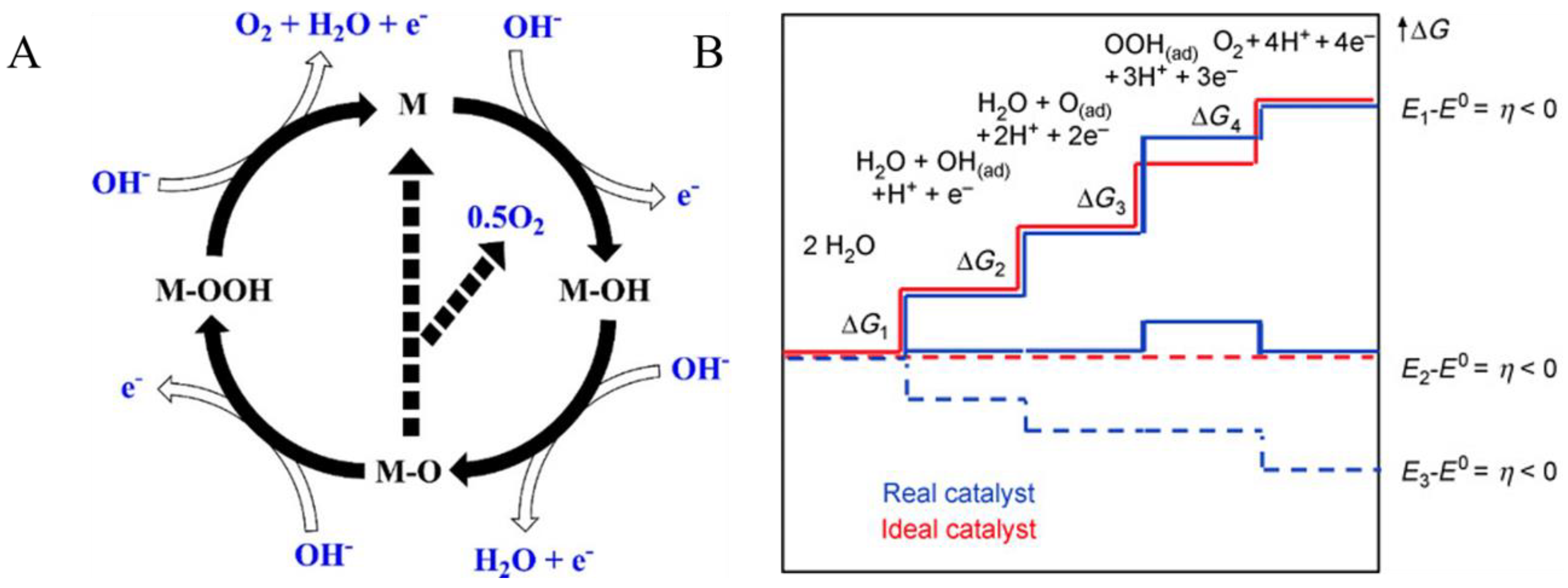 Nanomaterials 11 01388 g003