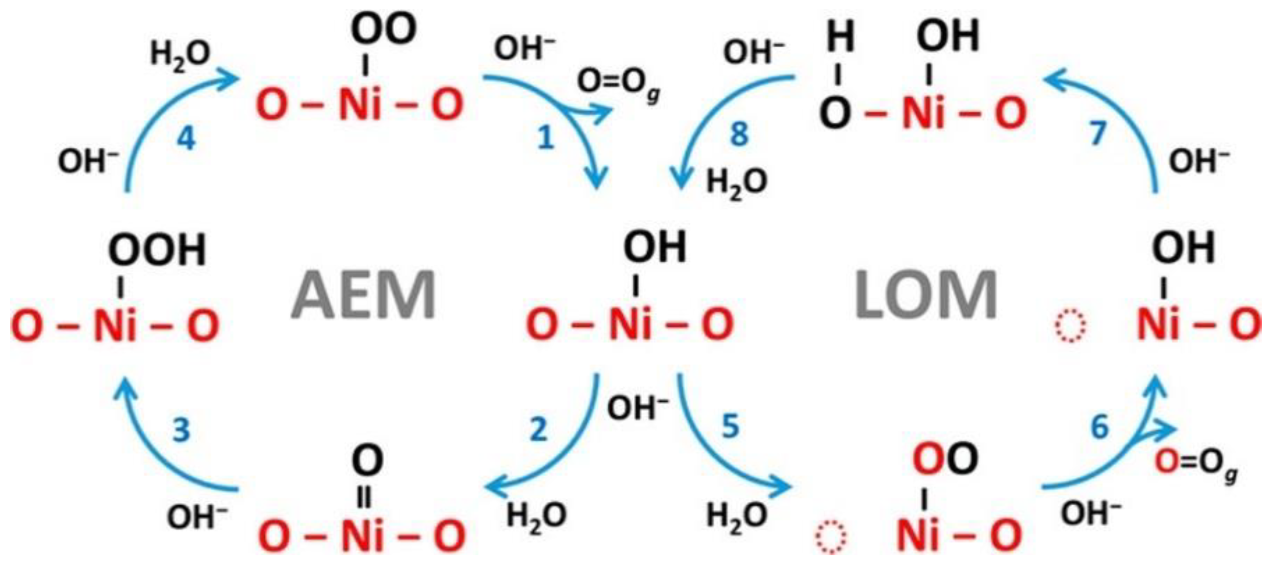 Nanomaterials 11 01388 g004