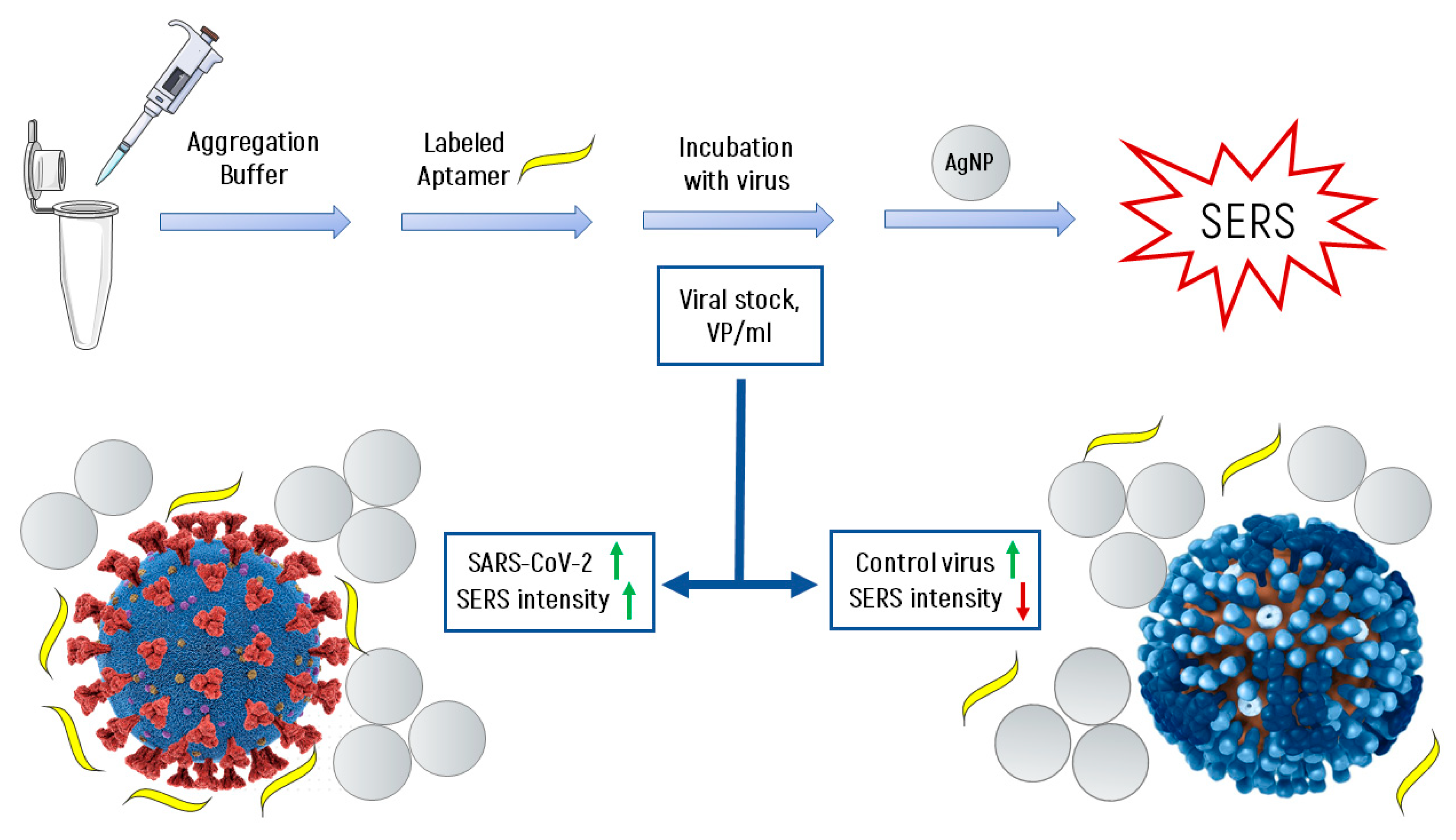 Nanomaterials 11 01394 g005 Nanomaterials 11 01394 g005