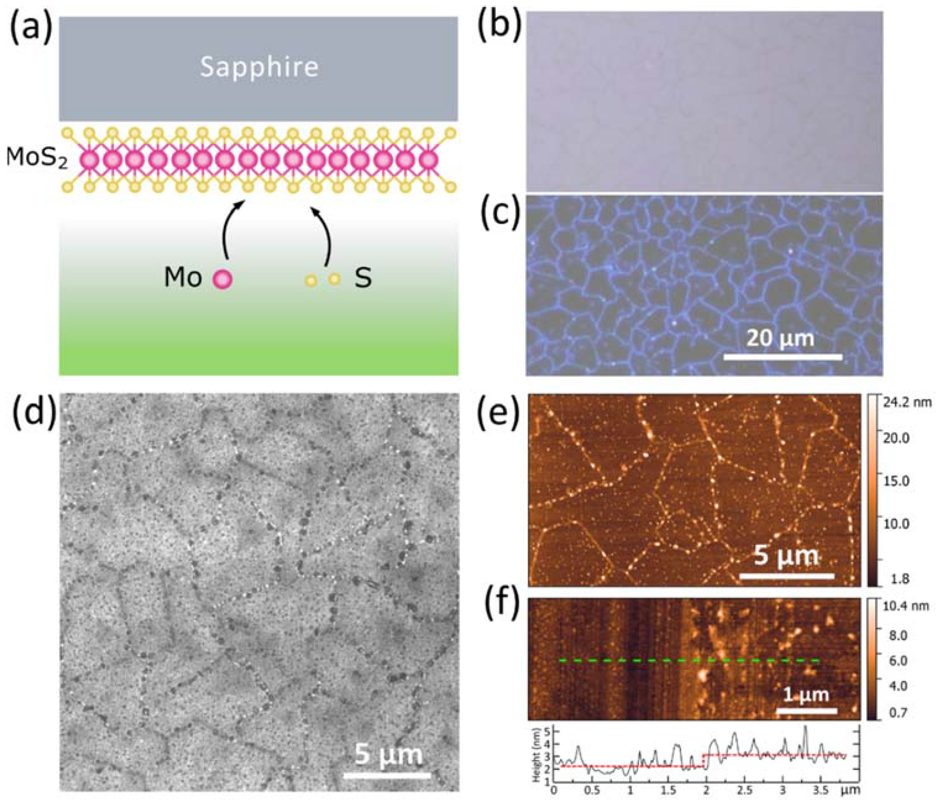 Nanomaterials 11 01411 g001 Nanomaterials 11 01411 g001