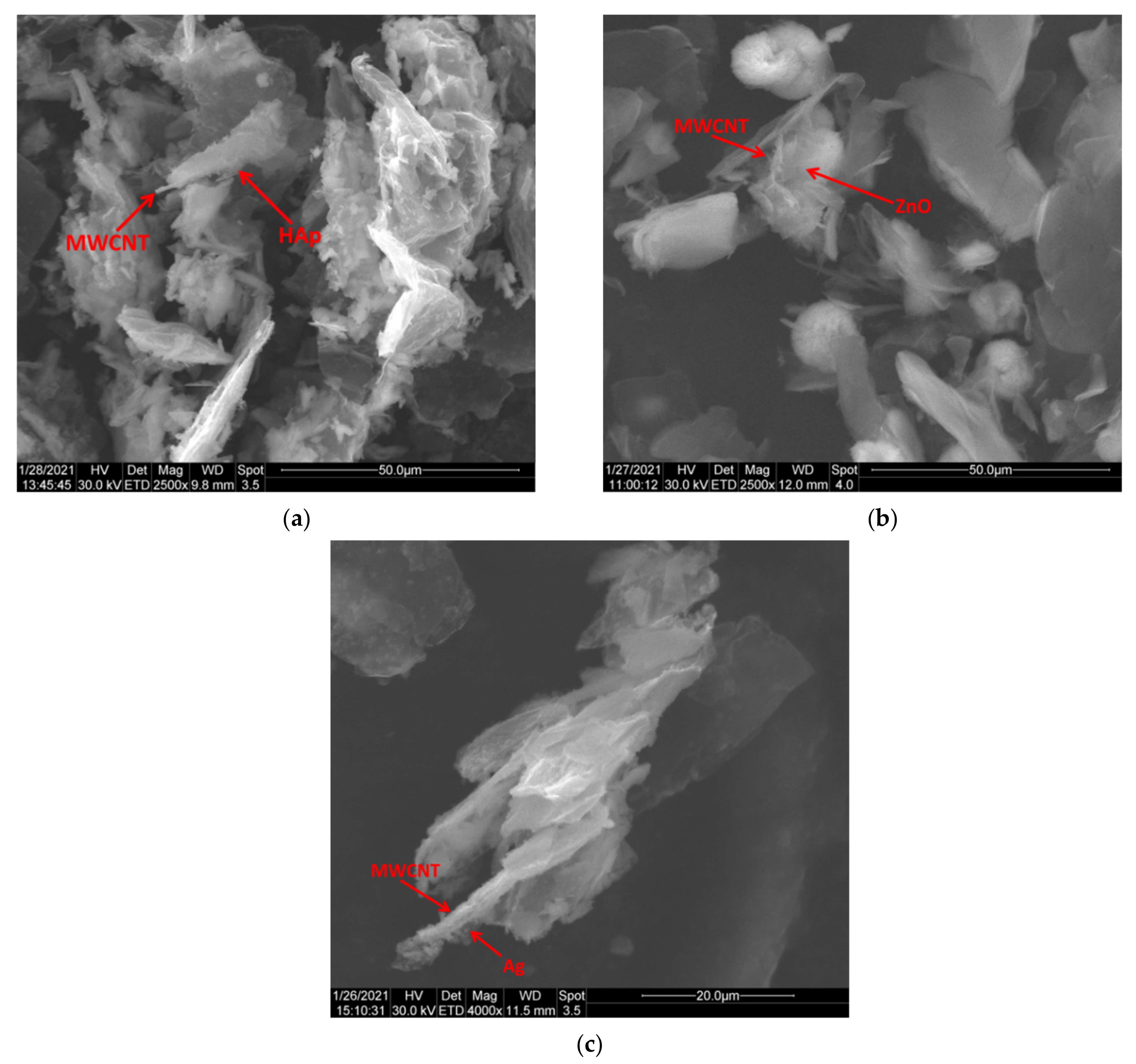 Nanomaterials 11 01415 g007