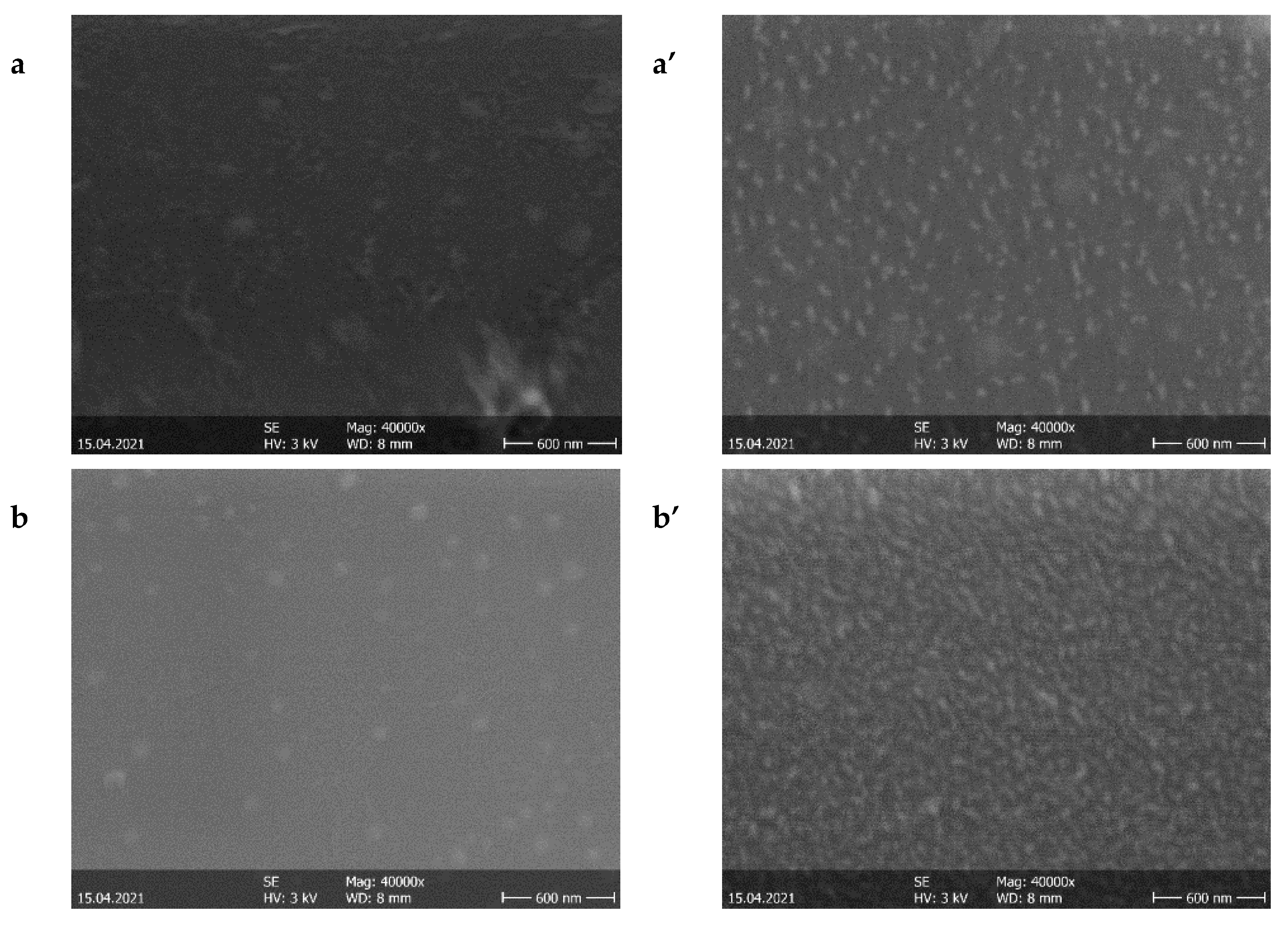 Nanomaterials 11 01416 g001a Nanomaterials 11 01416 g001a