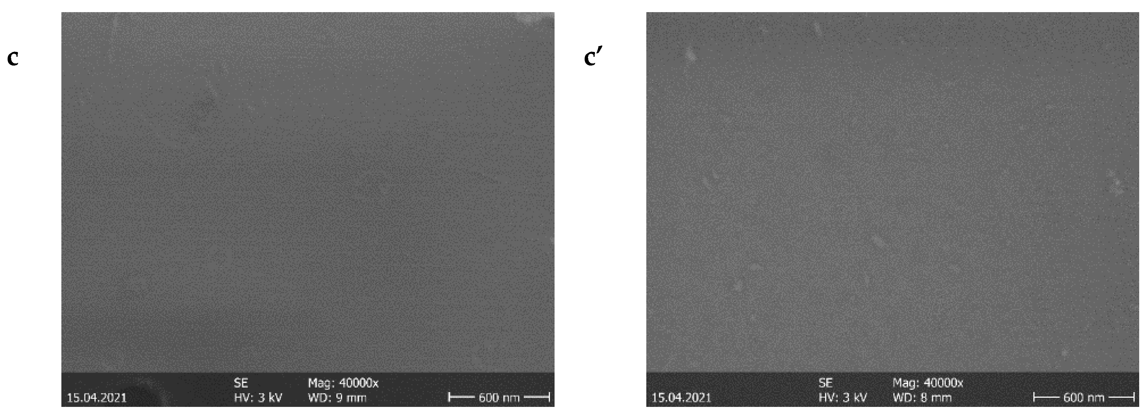 Nanomaterials 11 01416 g001b Nanomaterials 11 01416 g001b