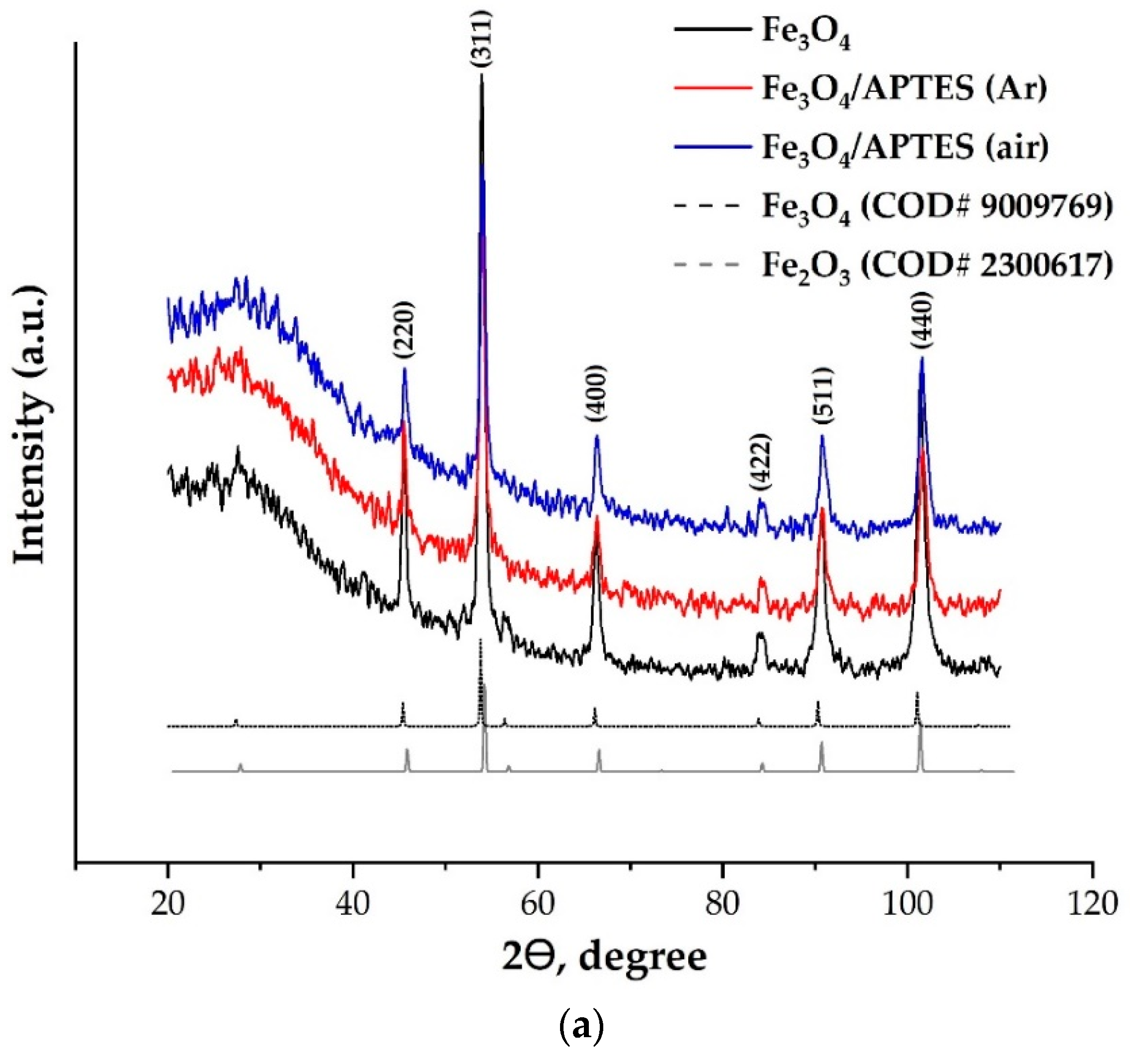 Nanomaterials 11 01418 g001a
