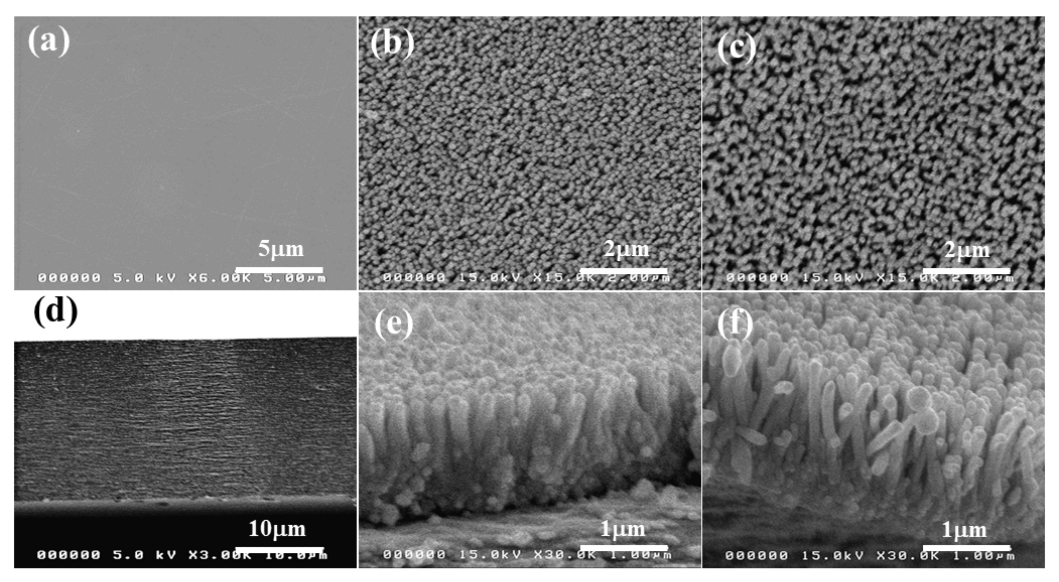 Nanomaterials 11 01419 g005