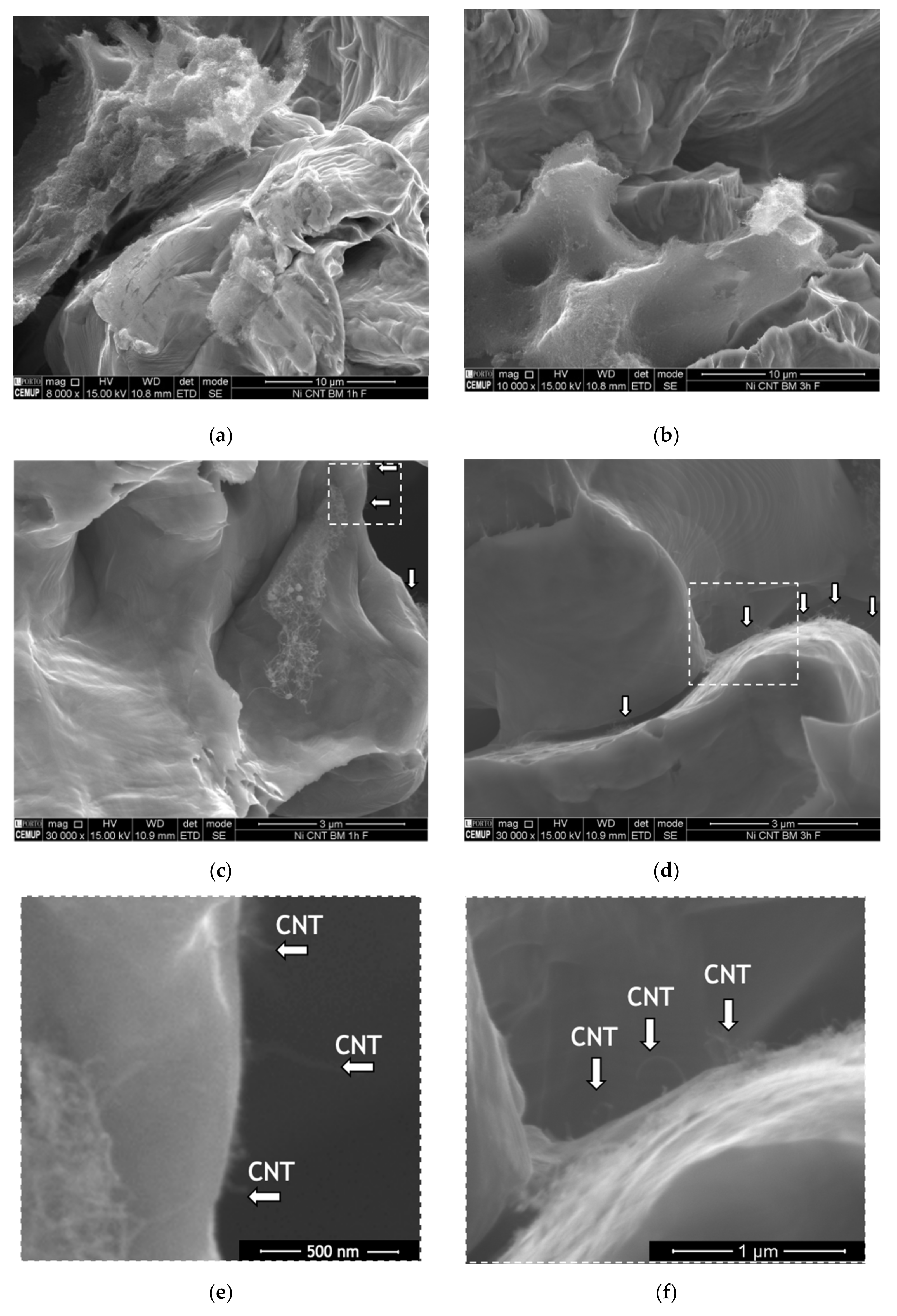 Nanomaterials 11 01426 g003