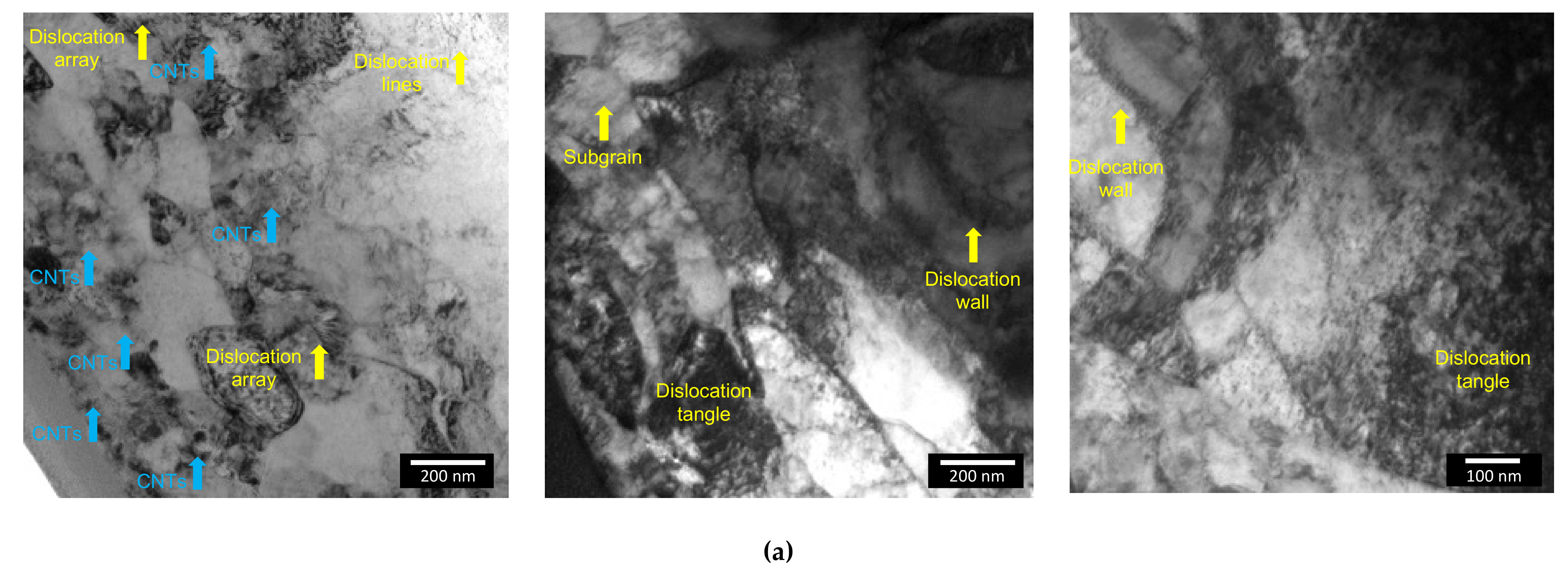 Nanomaterials 11 01426 g012a