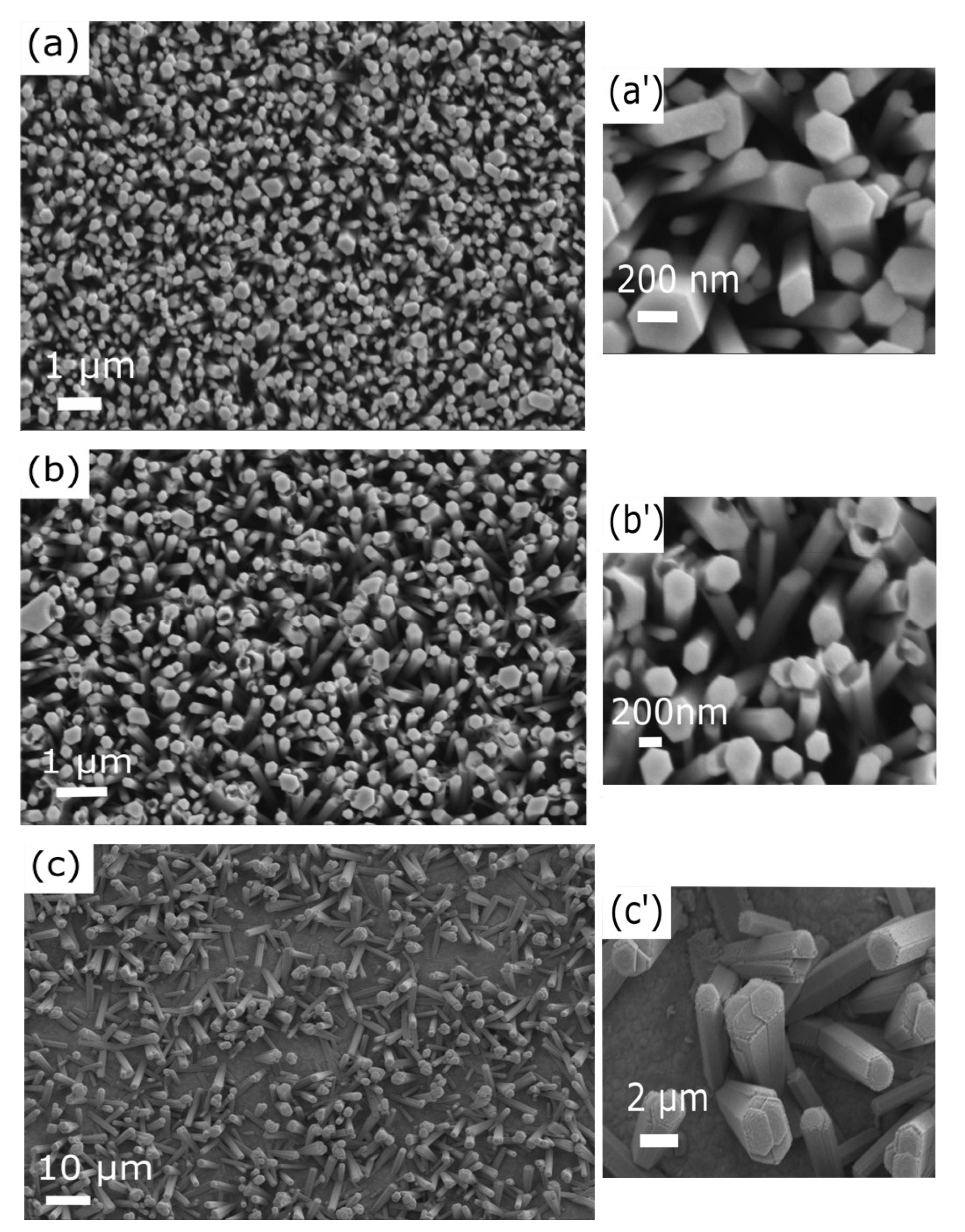 Nanomaterials 11 01430 g004 Nanomaterials 11 01430 g004