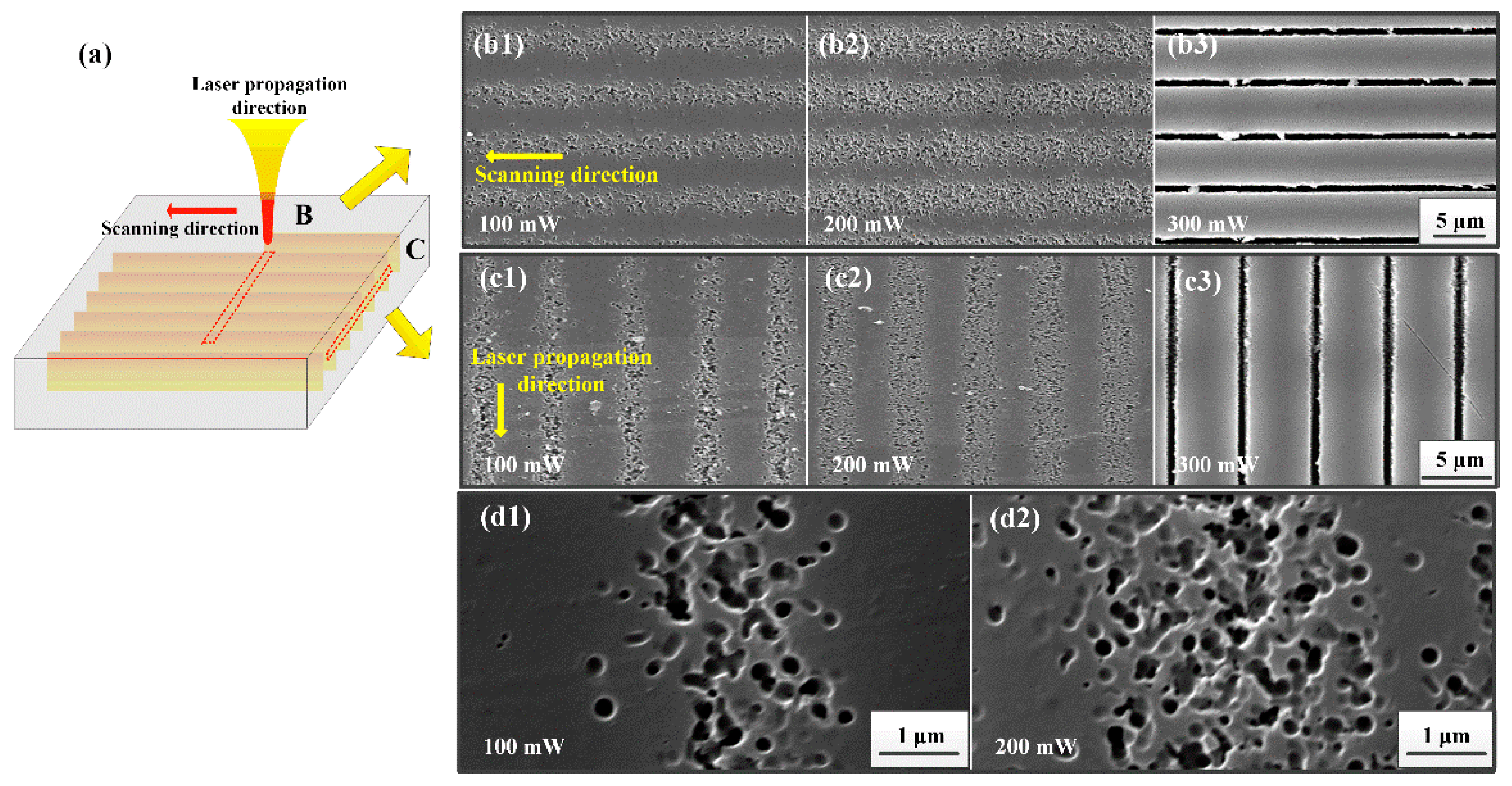Nanomaterials 11 01432 g003