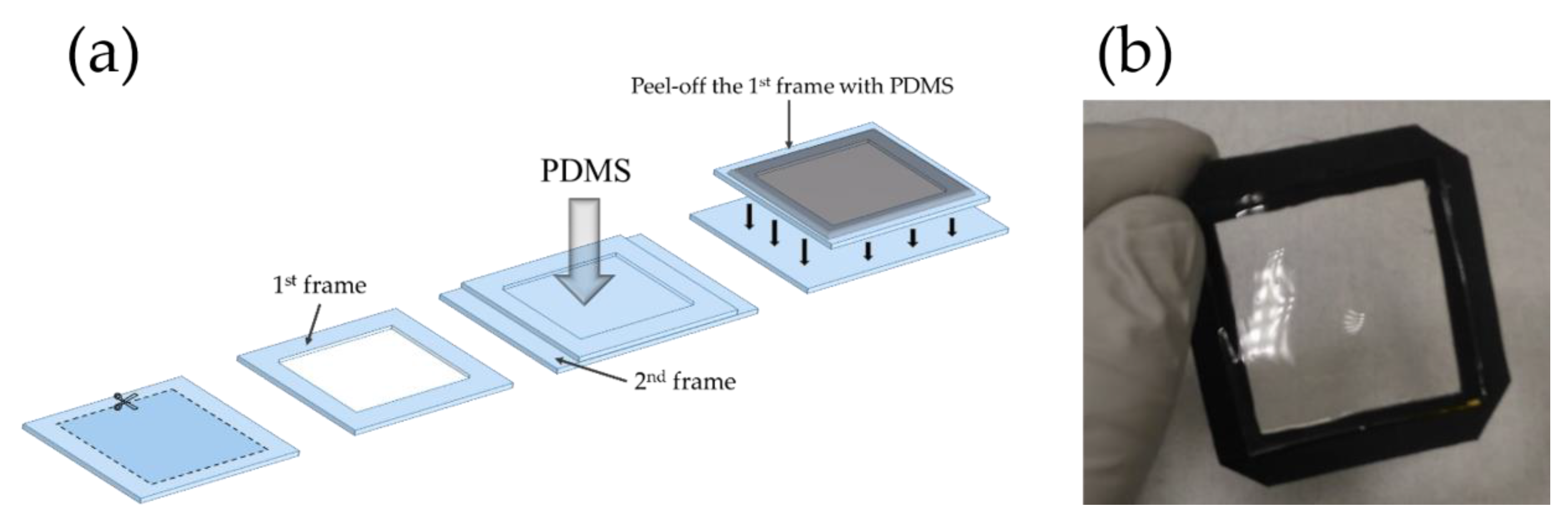 Nanomaterials 11 01433 g001