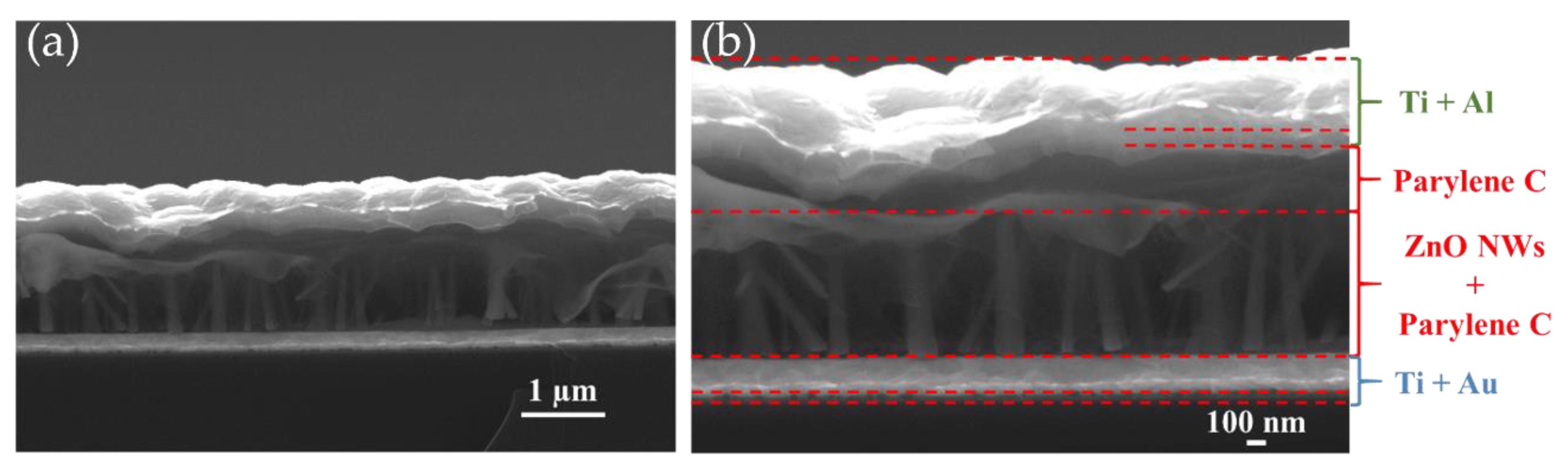 Nanomaterials 11 01433 g003