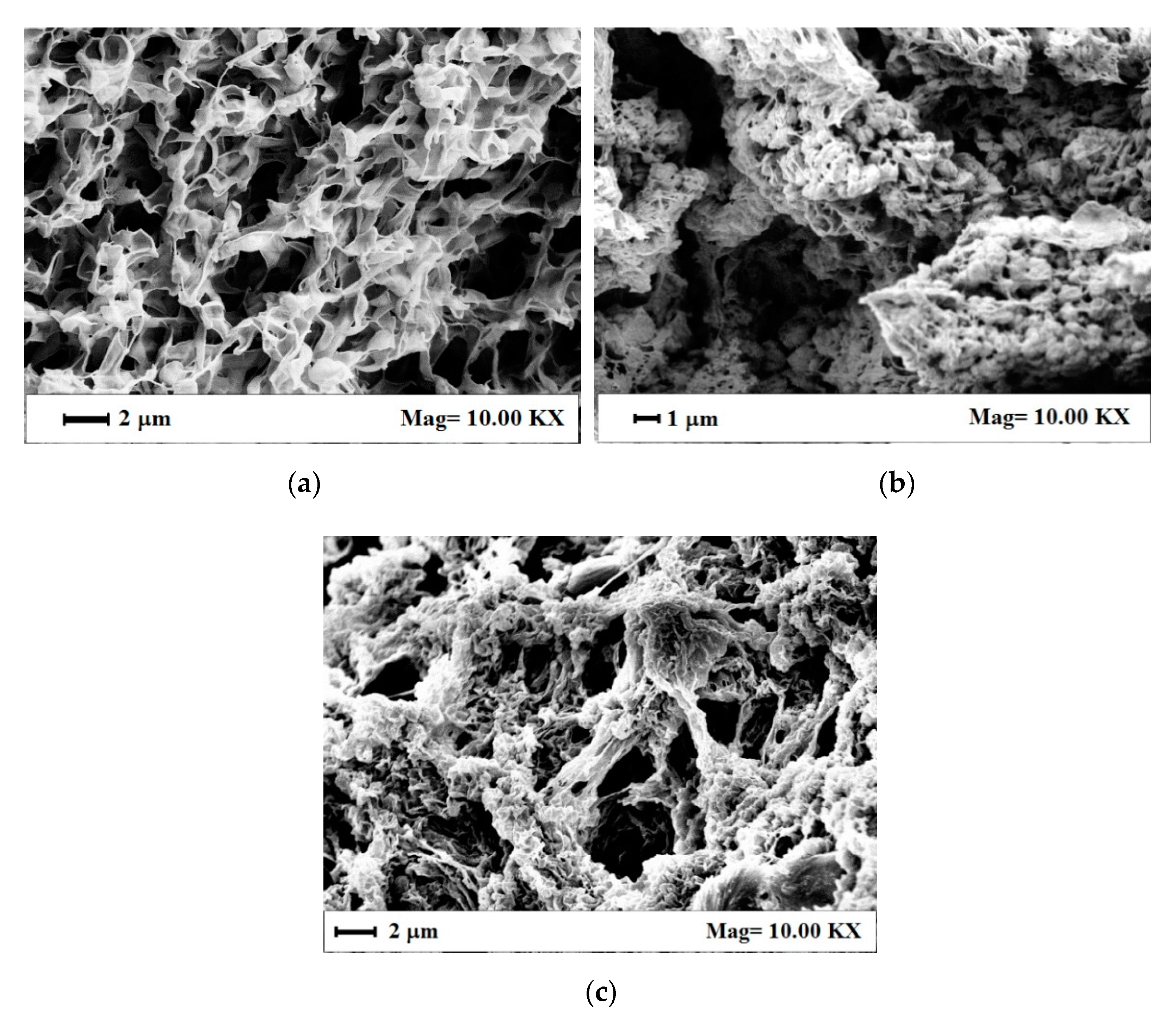 Nanomaterials 11 01436 g006 Nanomaterials 11 01436 g006