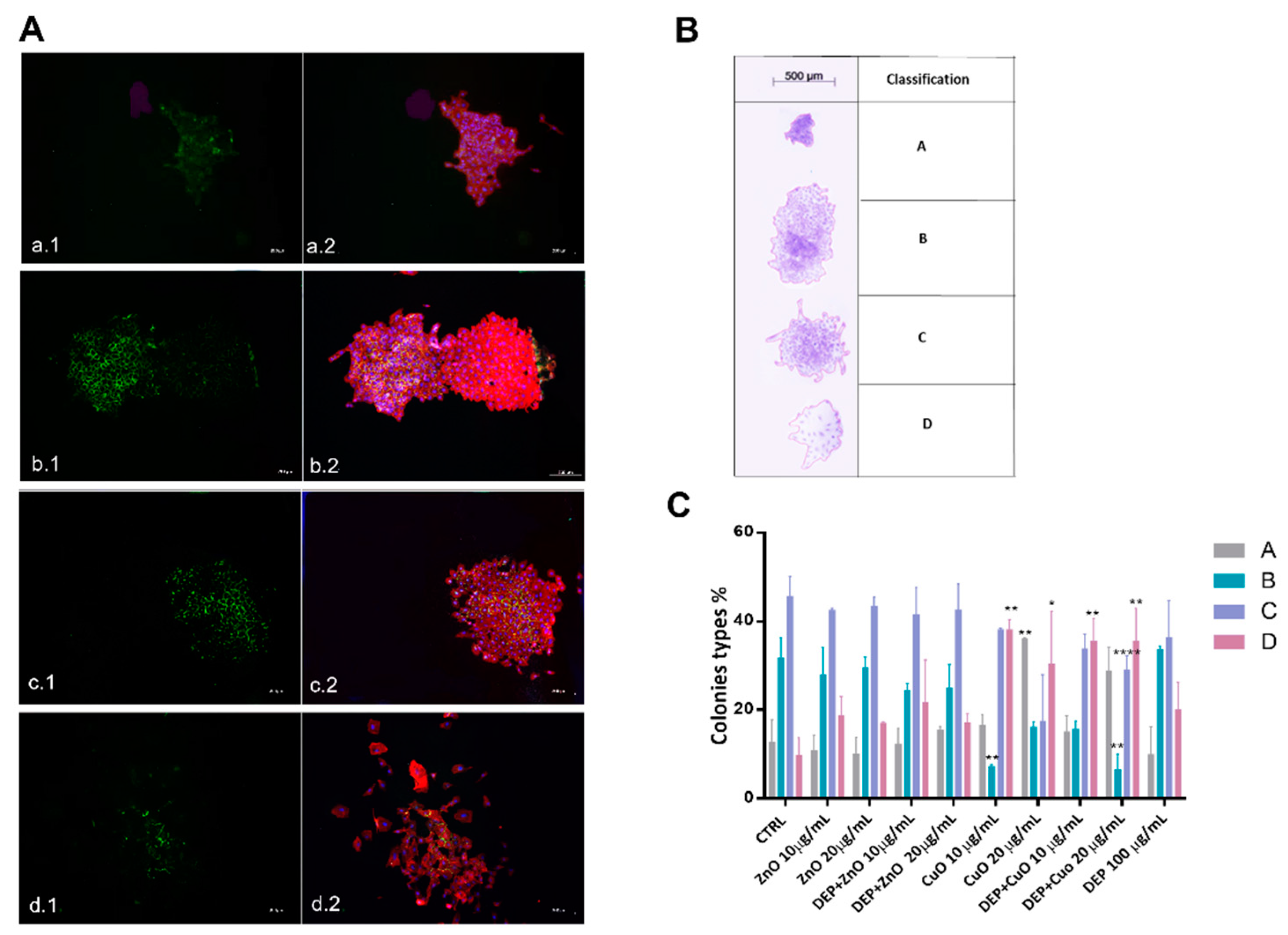 Nanomaterials 11 01437 g004 Nanomaterials 11 01437 g004