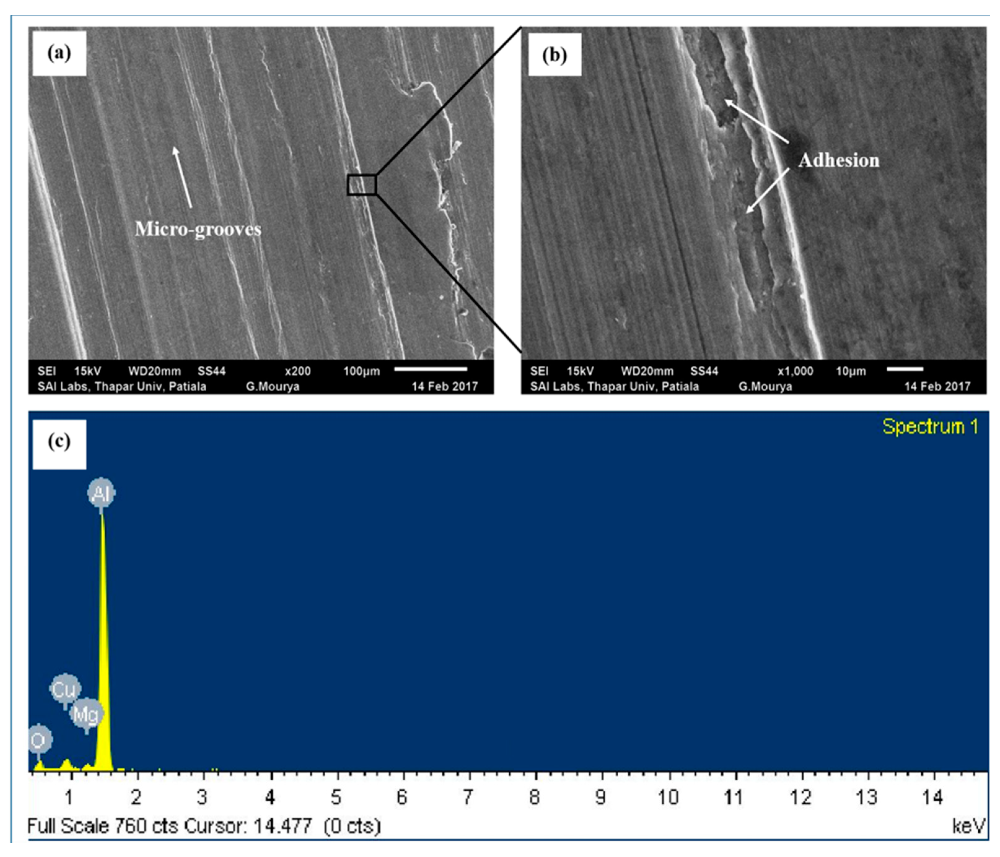 Nanomaterials 11 01438 g004
