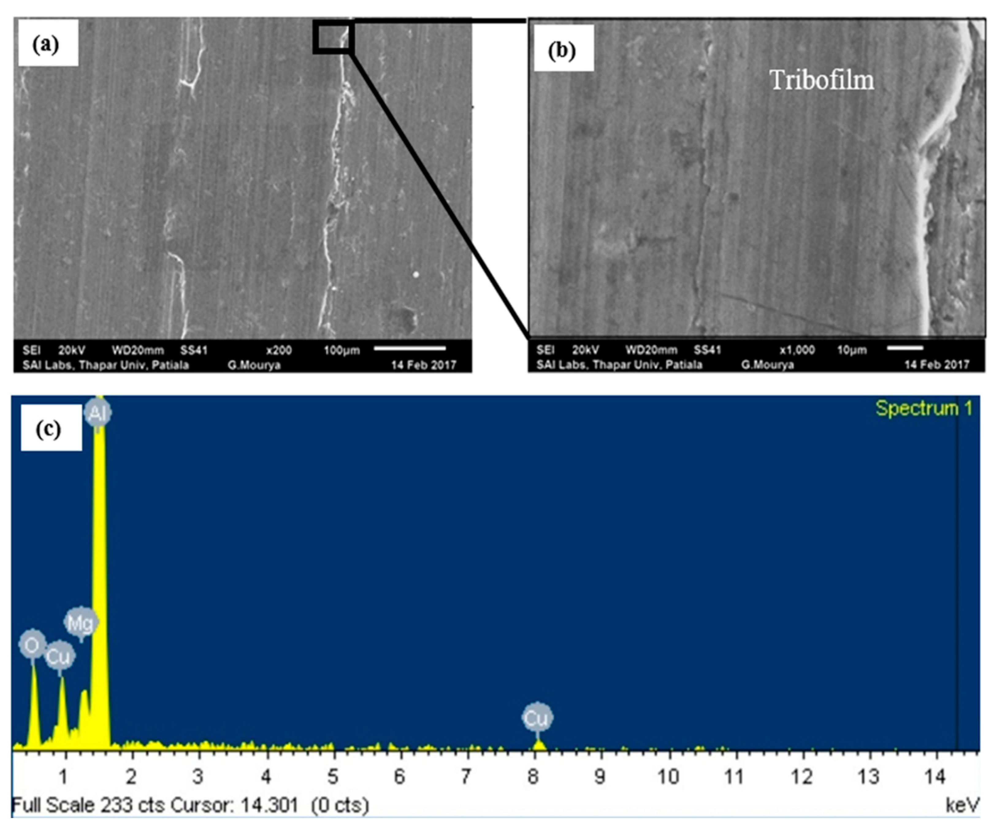 Nanomaterials 11 01438 g005