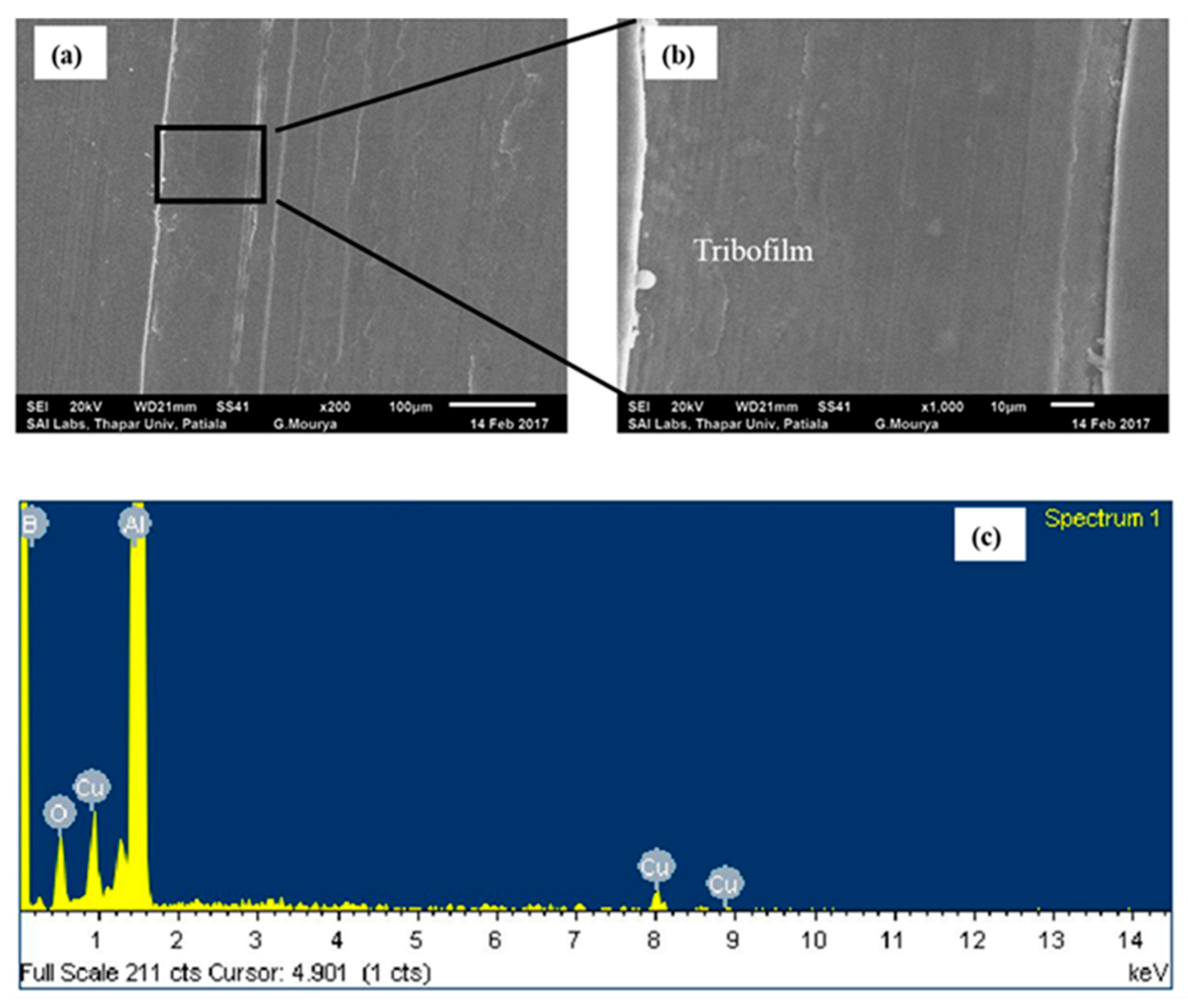 Nanomaterials 11 01438 g006