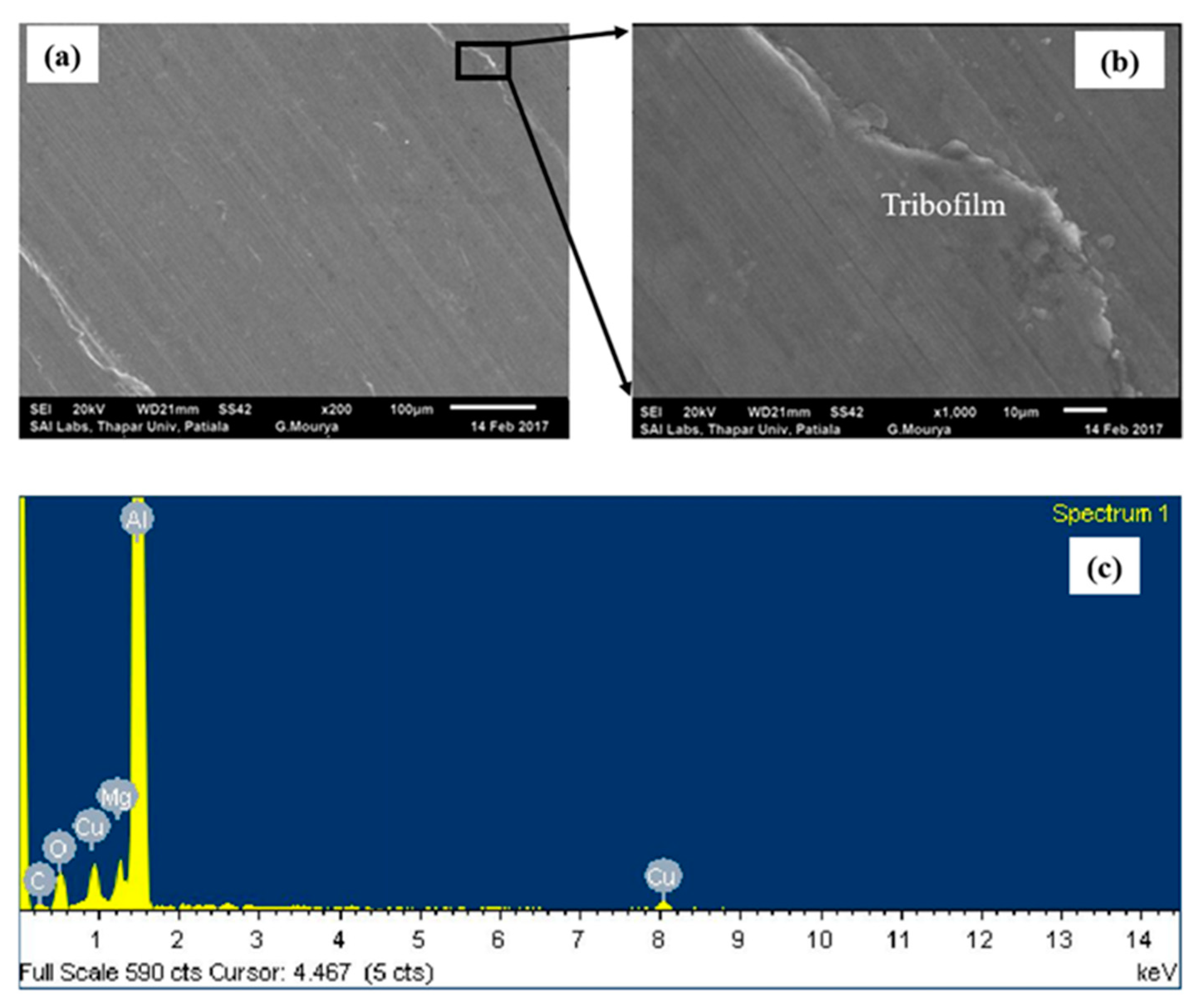 Nanomaterials 11 01438 g007
