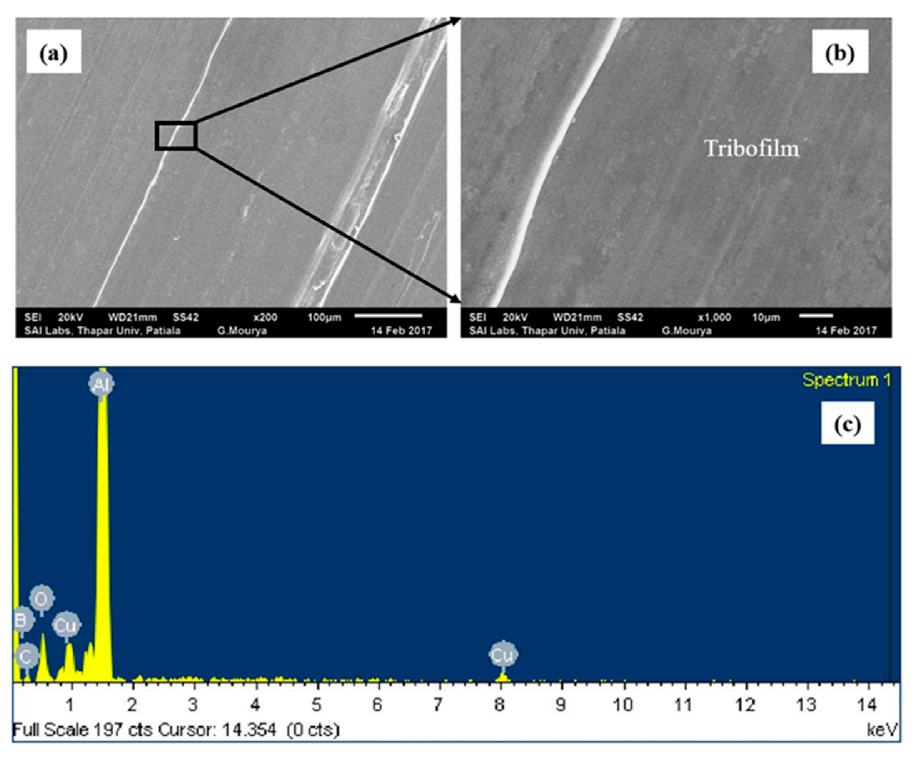 Nanomaterials 11 01438 g008